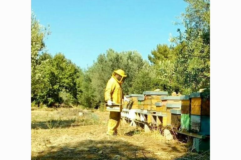 A photo of a bee keeper tending to their hive boxes,