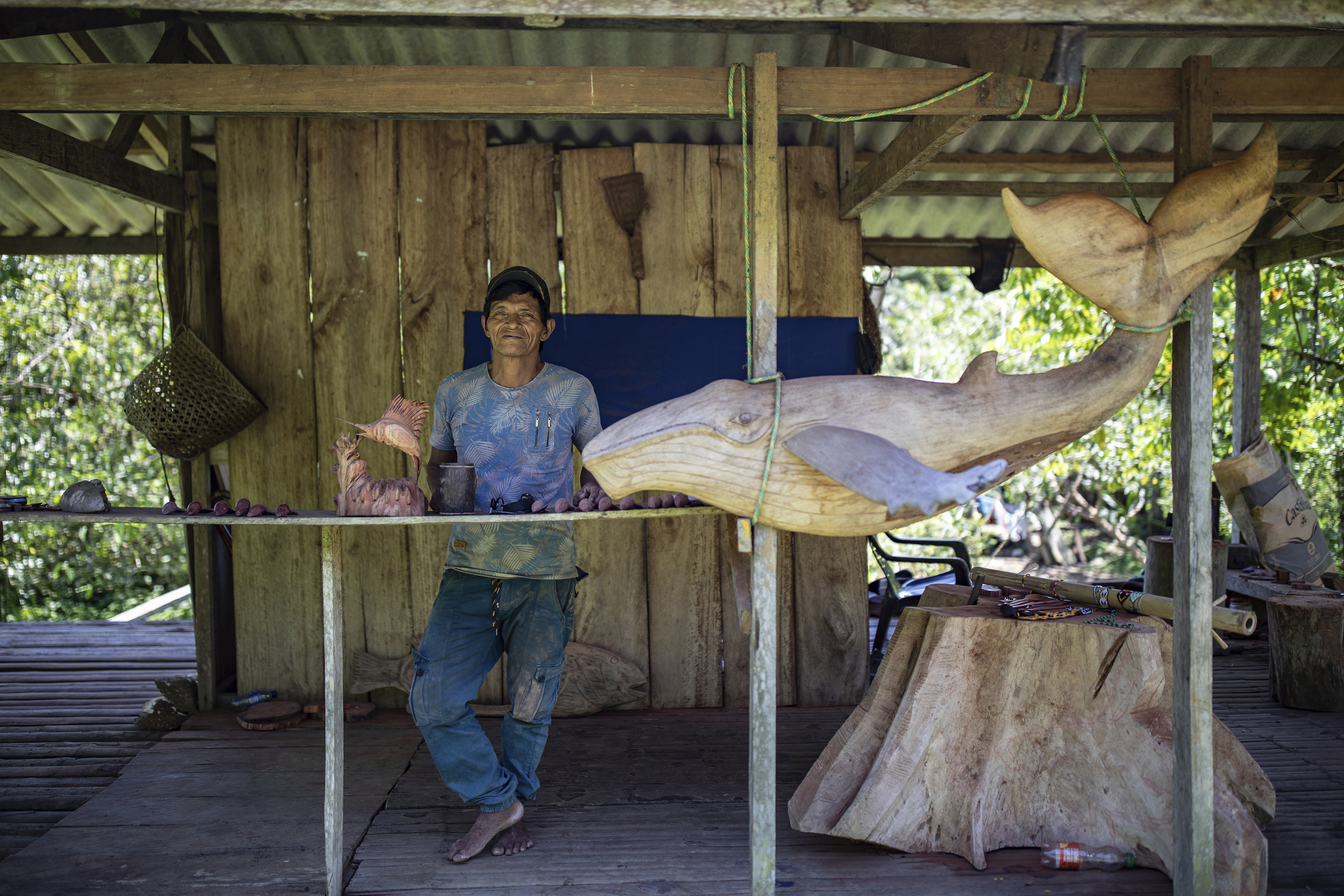 A humpback whale surfaces in the waters of Bahía Solano