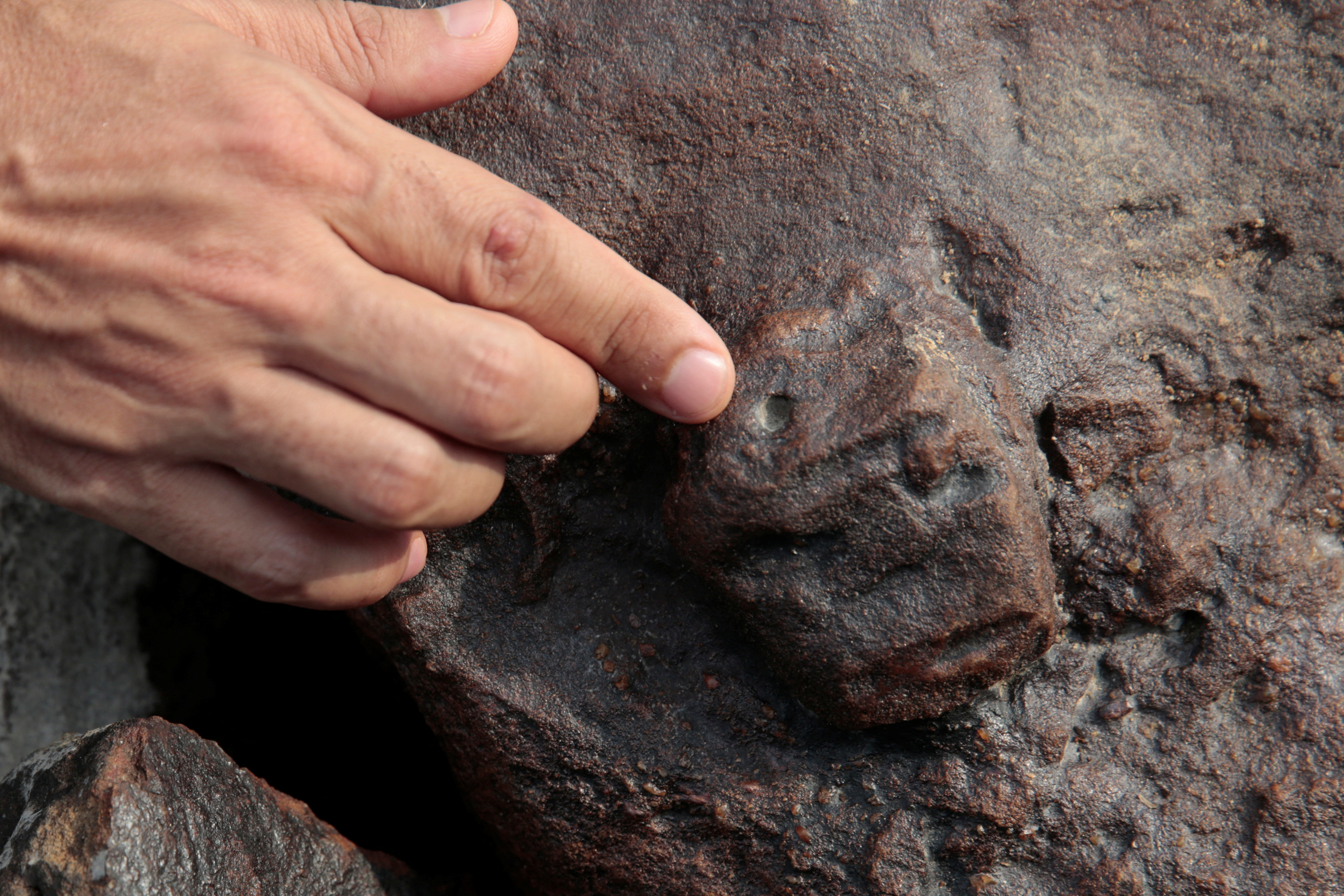 A view of ancient stone carvings on a rocky point of the Amazon river