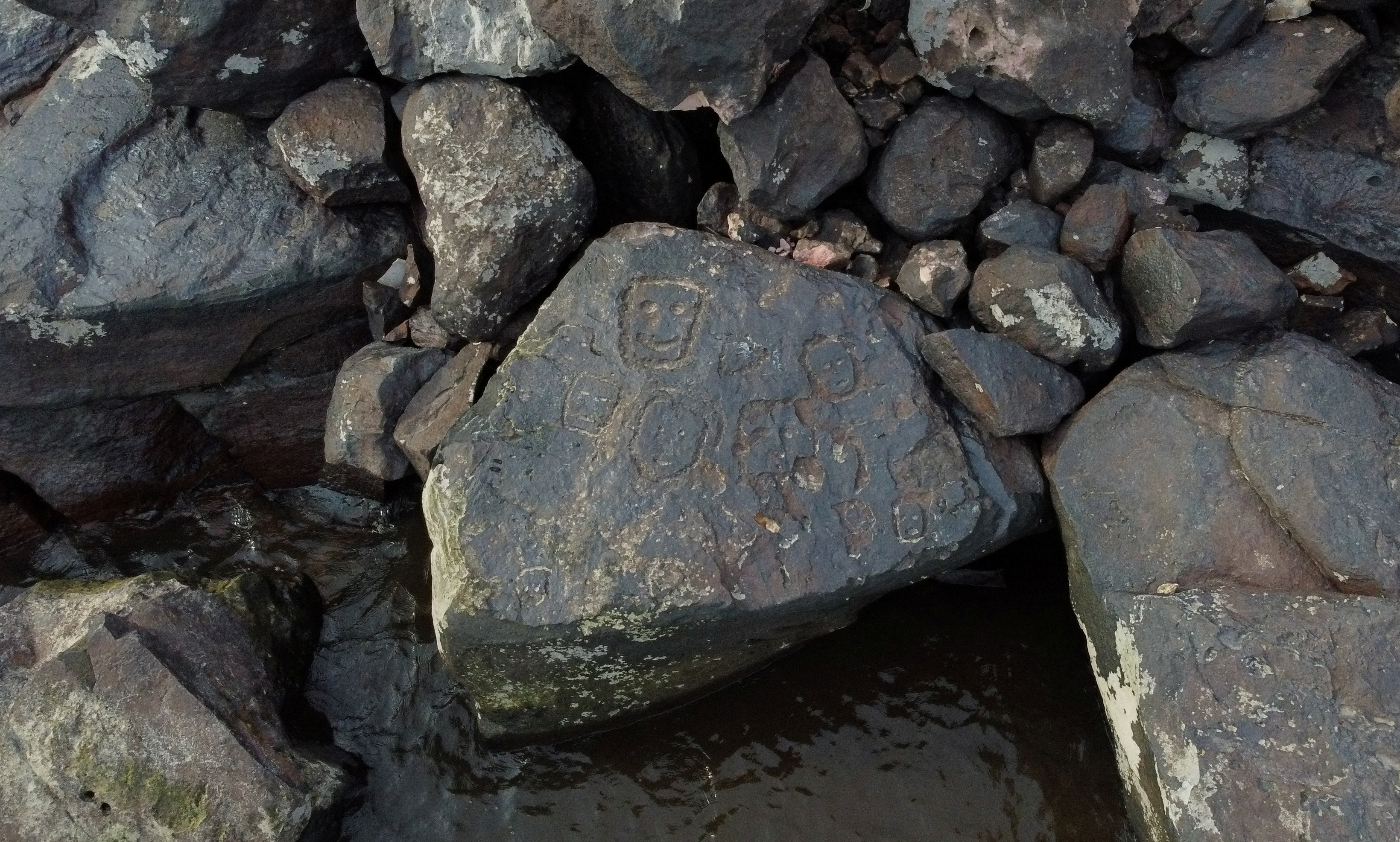 A view of ancient stone carvings on a rocky point of the Amazon river