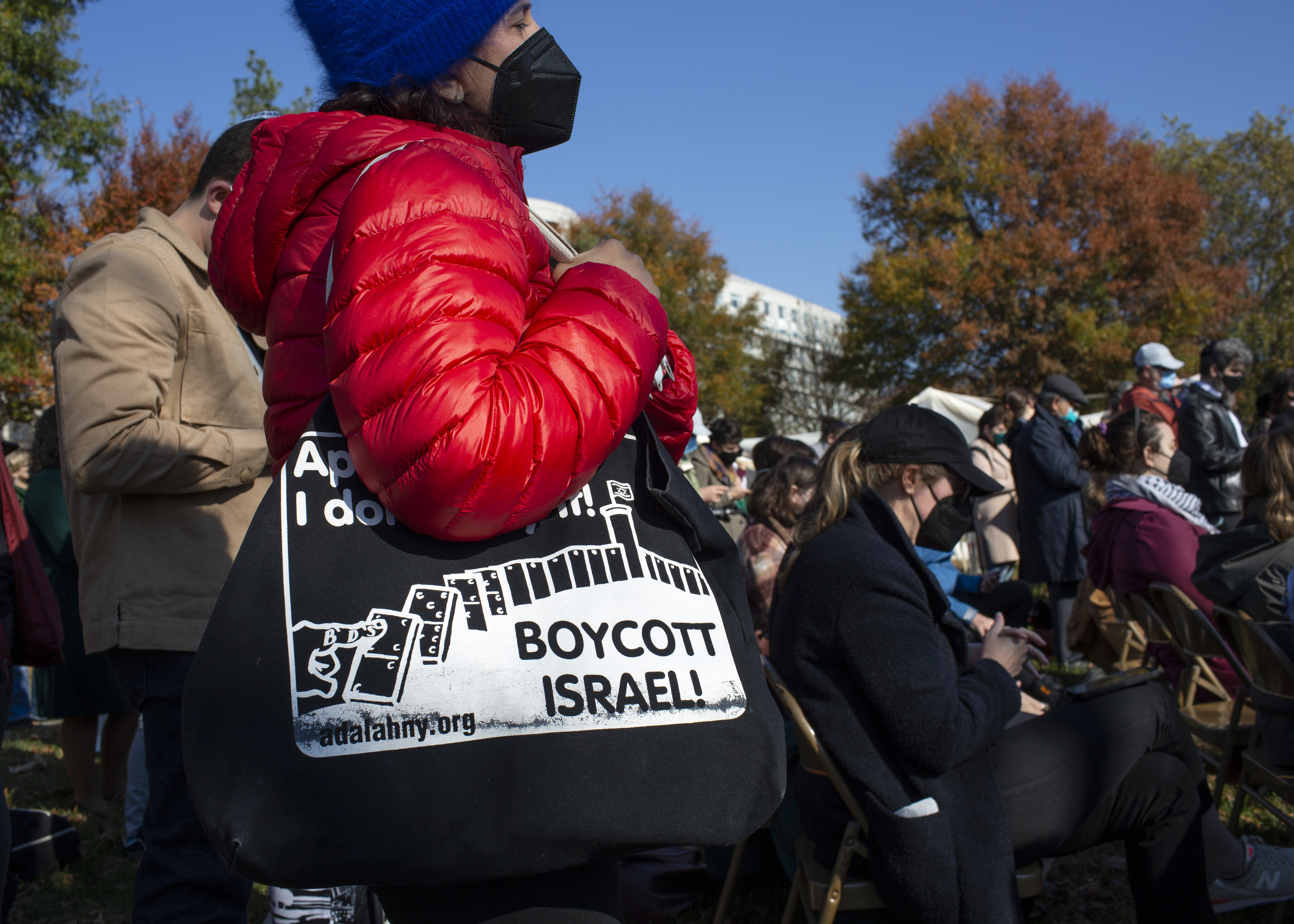Protestor in Washington