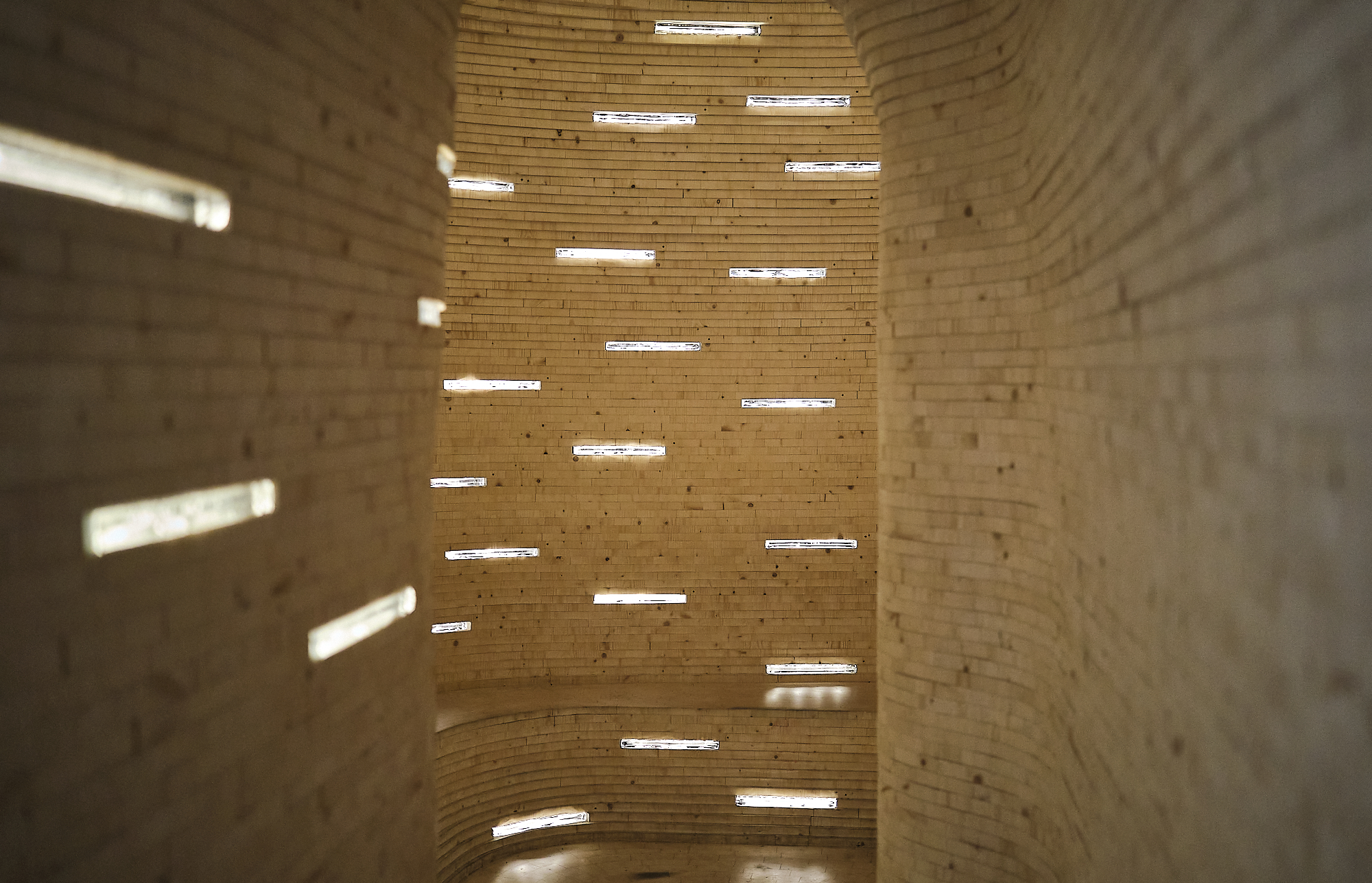 By 2114, the "Silent Room" at the Deichman Bjorvika library in Oslo, will house 100 manuscripts comprising the "Future Library" project.