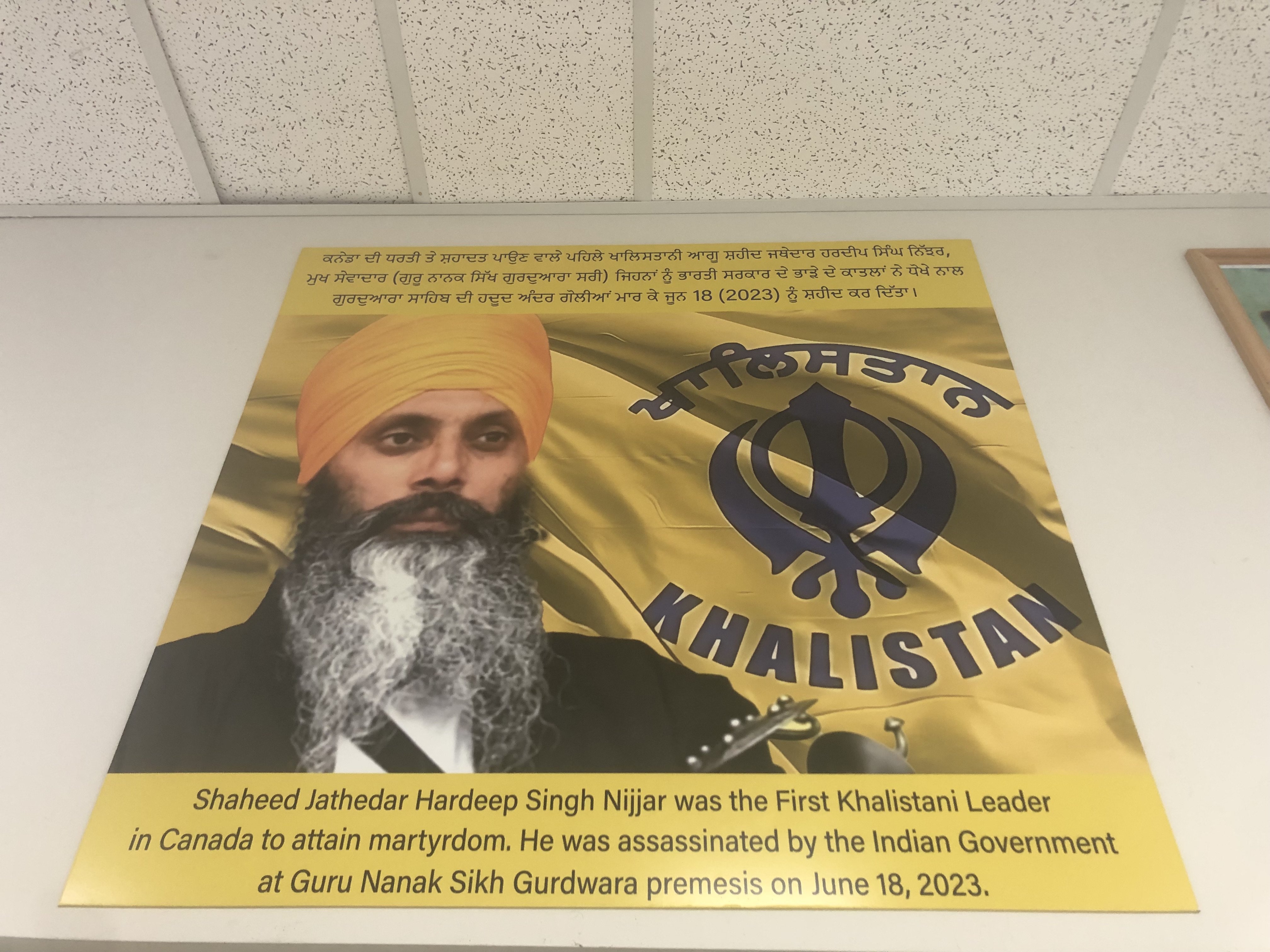 [Amy Fallon/Al Jazeera]