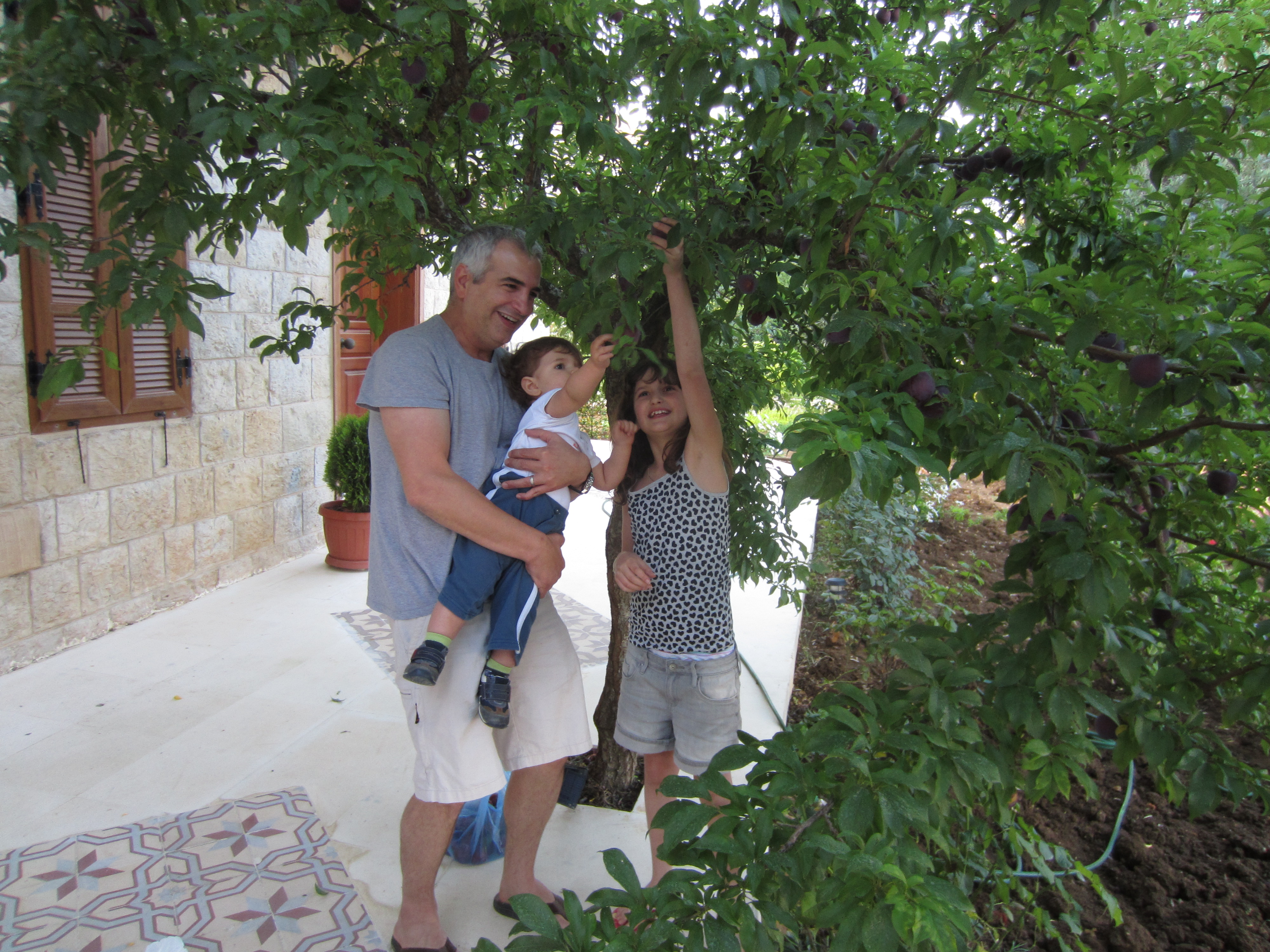 The day before my tenth birthday, my father, baby brother Malik and I picked plums from the garden of our ancestral home in Marjayoun, Lebanon. My father had spent the past several years rebuilding it, etching his heart and soul into every detail of that home, the subject of his memoir, House of Stone. He was buried next to this tree less than a year later.