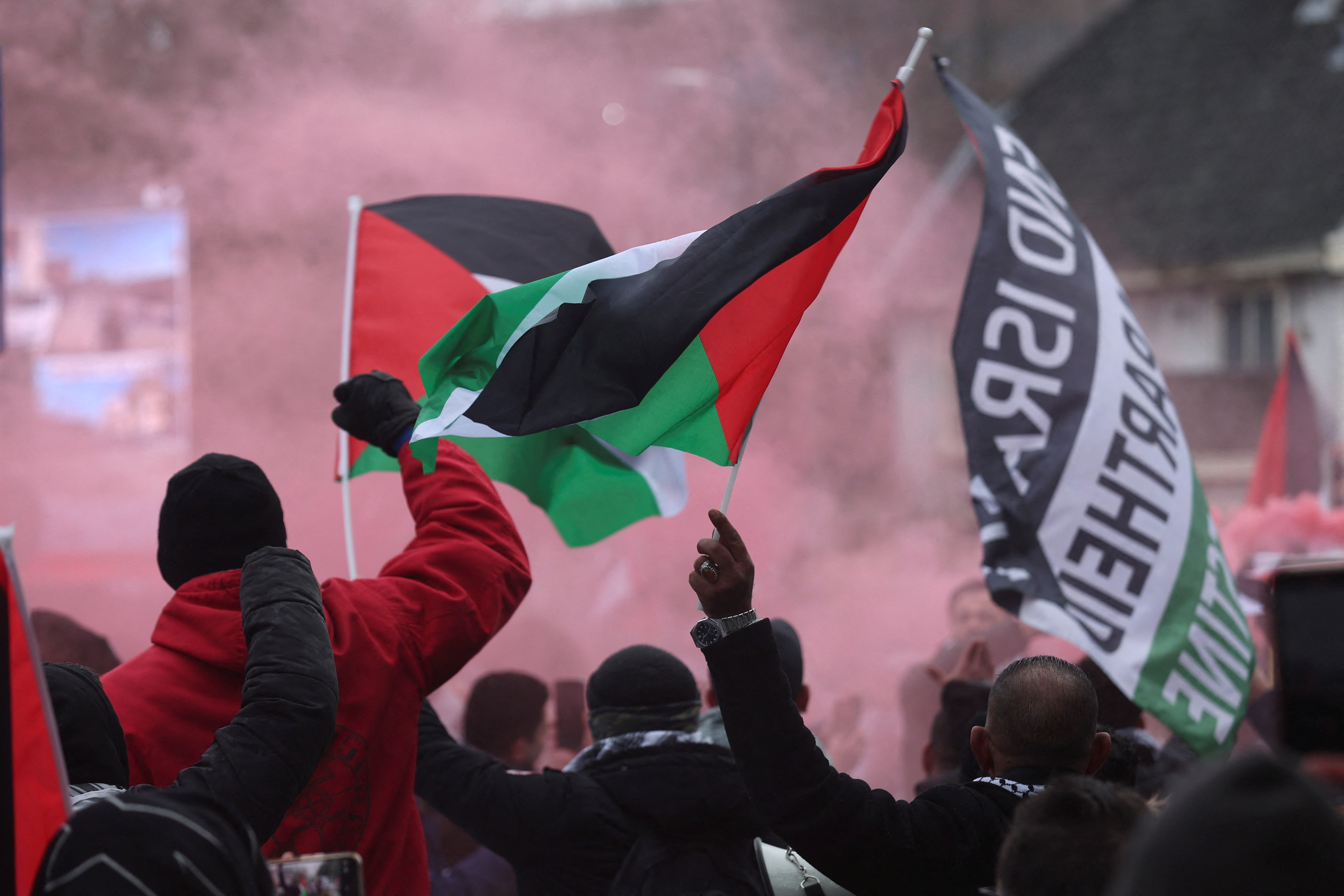 Pro-Palestinian demonstrators hold Palestinian flags as they protest near the International Court of Justice (ICJ