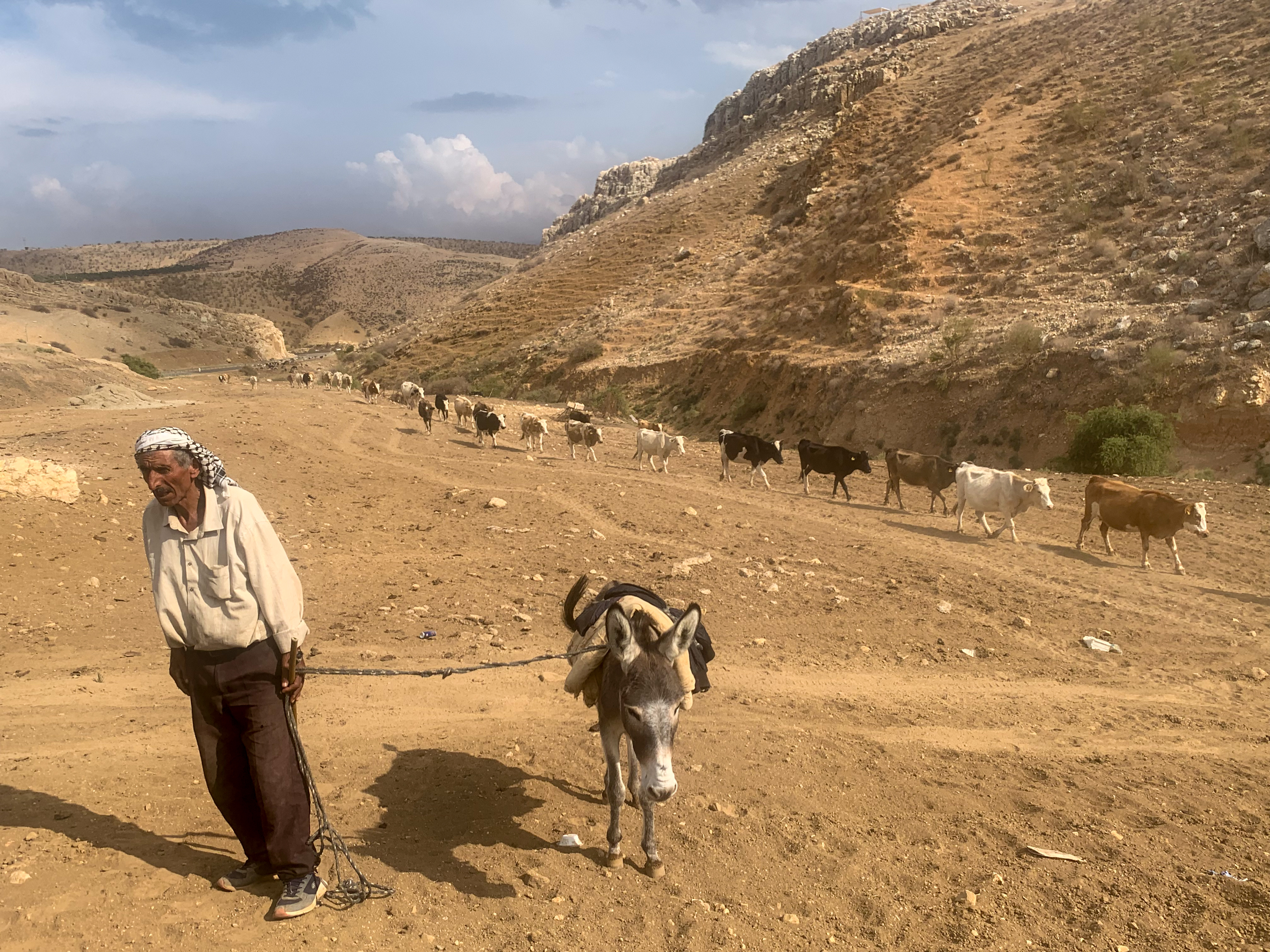 A Palestinian shepherd in Ein Hilweh, close to a spring which has been made inaccessible [Al Jazeera]