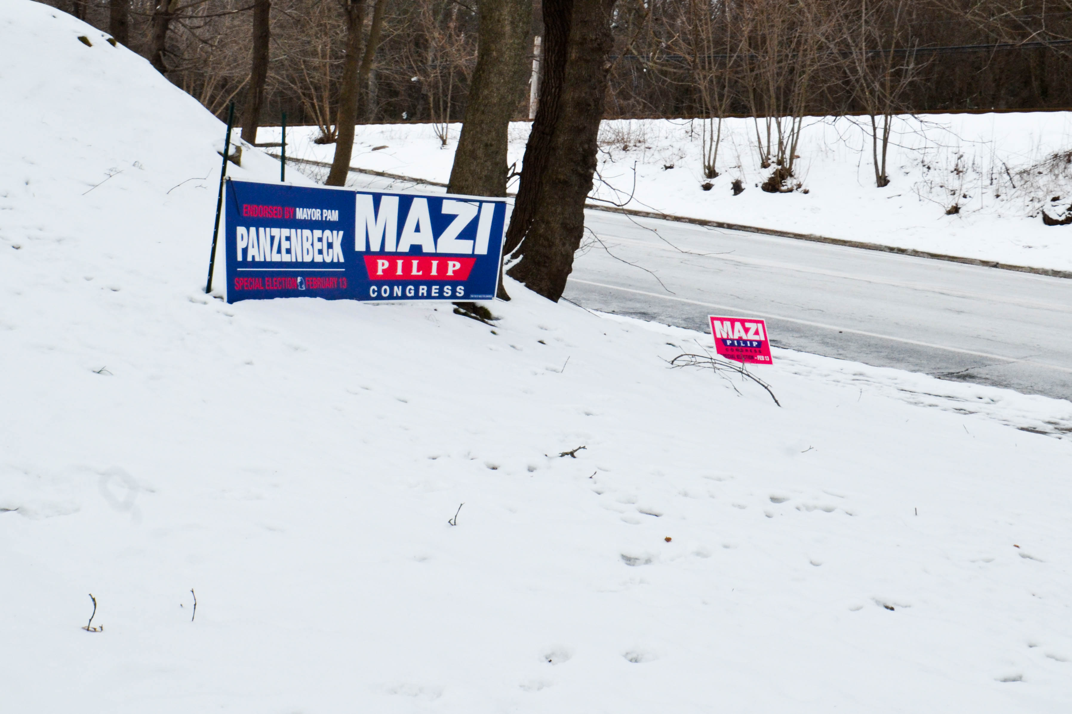 Campaign signs for candidate Mazi Melesa Pilip sit in a Long Island snowbank