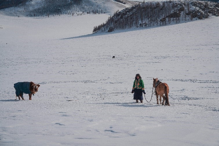 A herder walks with a horse through the snow [Courtesy of Mongolian Red Cross Society]