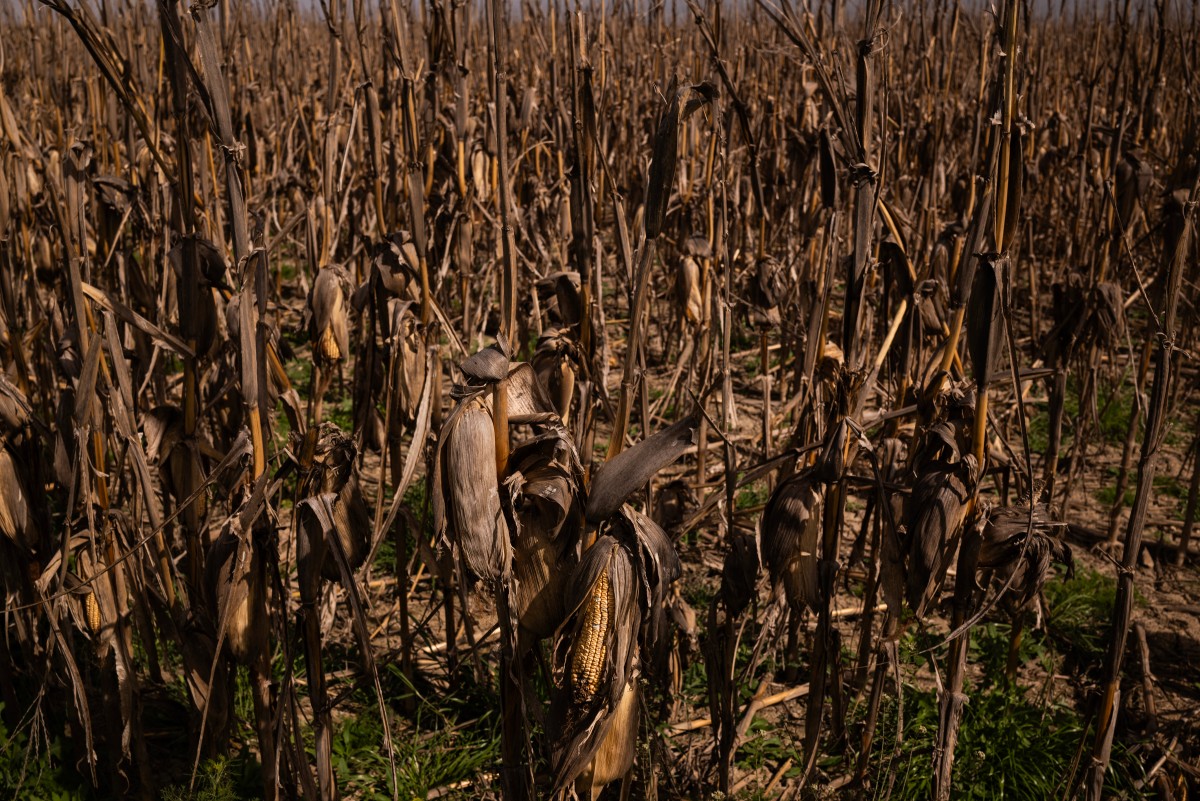 Greek valley that became a lake stirs drought debate