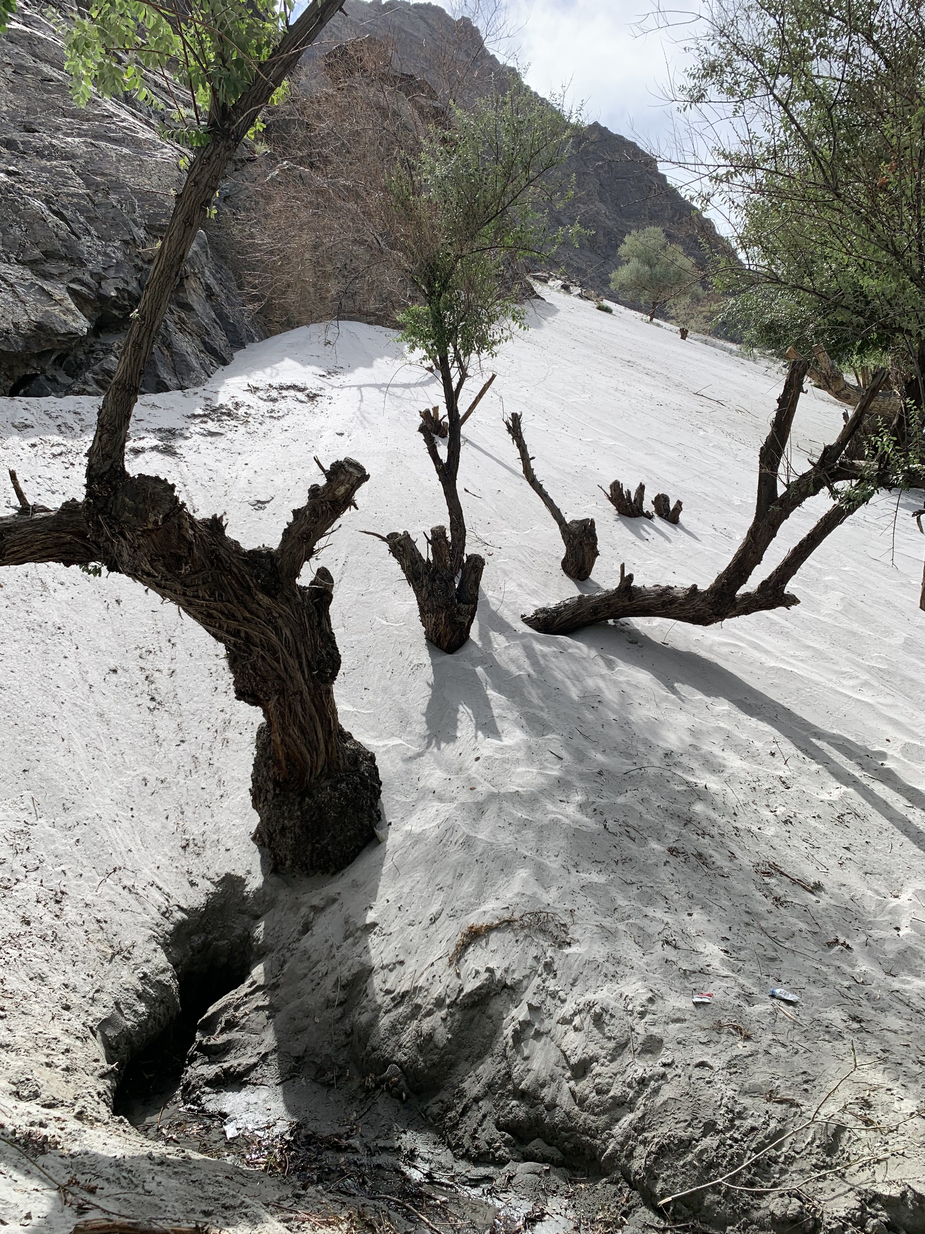 Pakistan glaciers