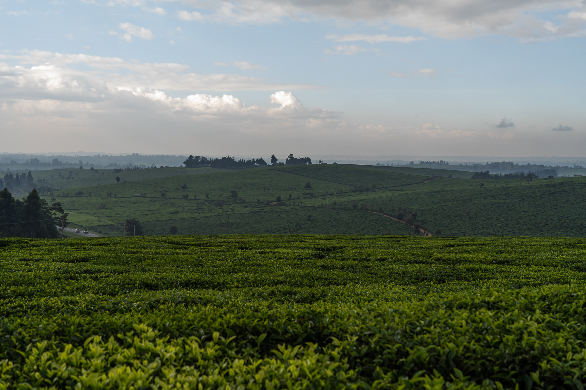 A view of the Nandi Hills