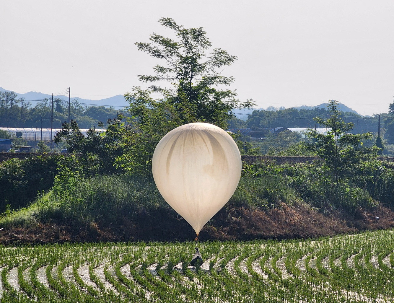 The South’s military said the balloons that did land dropped rubbish, including plastic and paper waste, but no hazardous substances were discovered