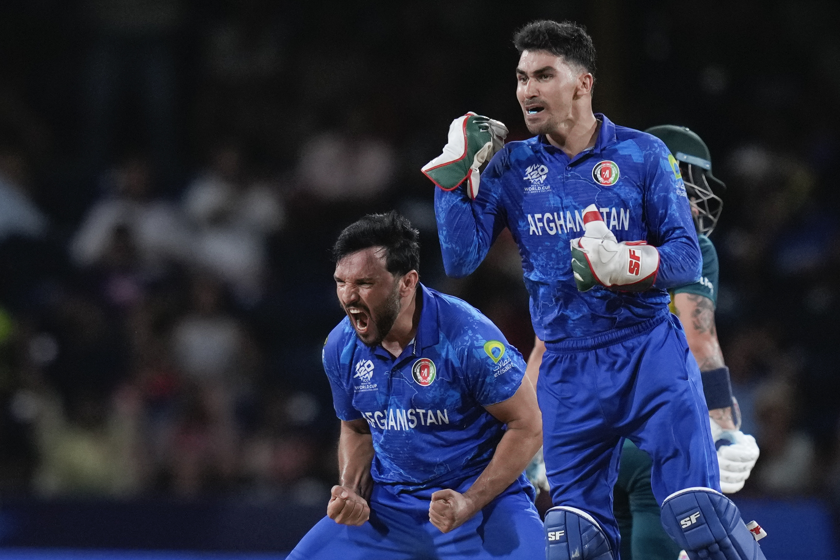 Afghanistan's Gulbadin Naib, left, and Rahmanullah Gurbaz celebrate the dismissal of Australia's Glenn Maxwell in T20 World Cup cricket match