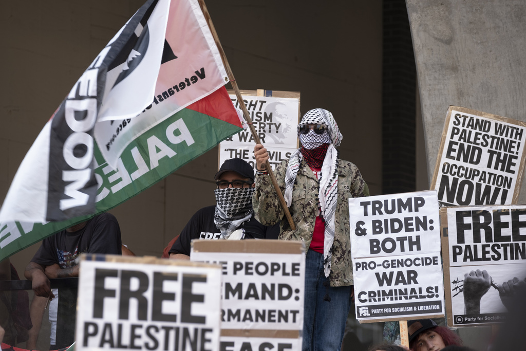 Pro-Palestine protestors