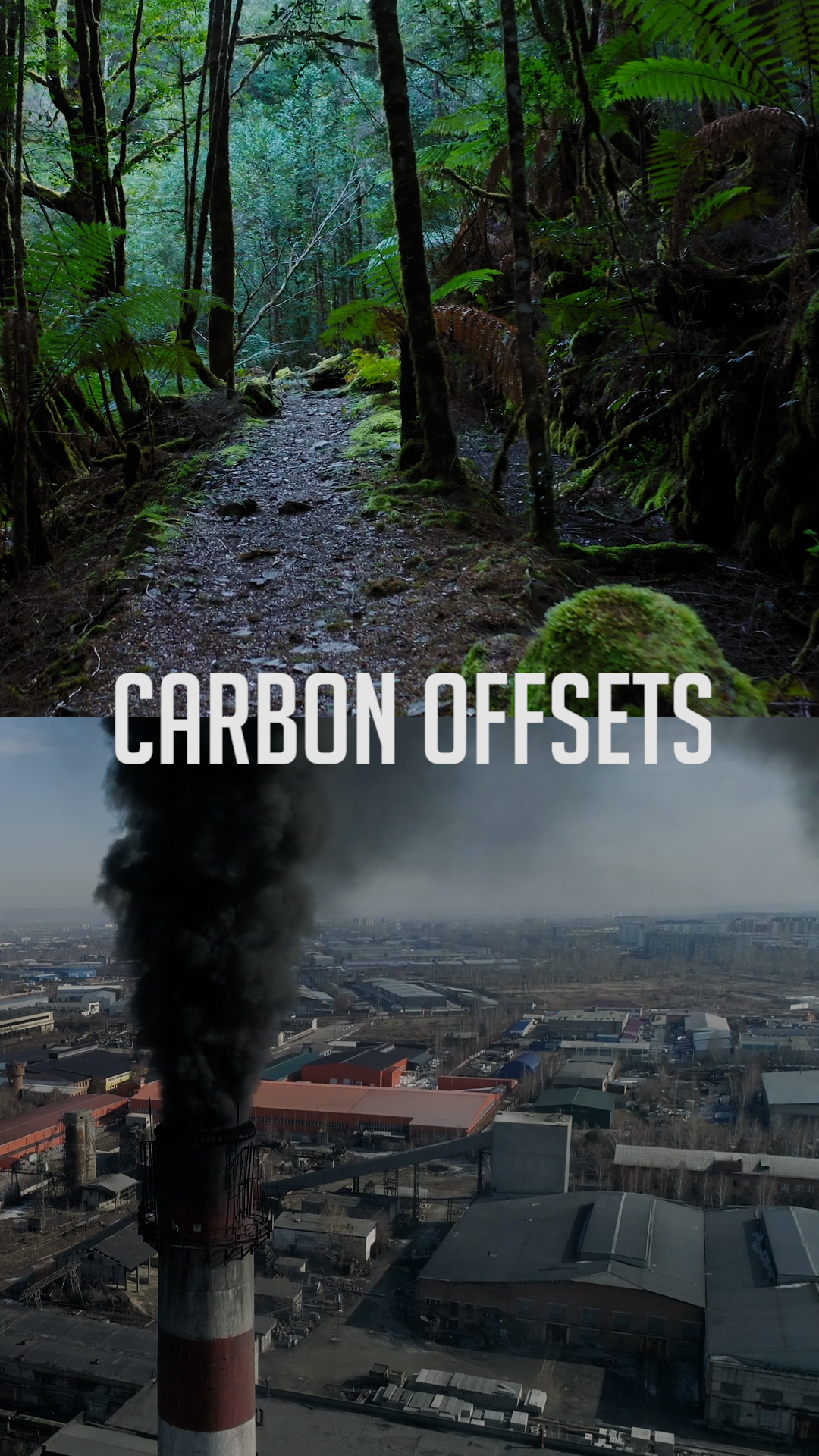 carbon - vertical - no green border-1718210592