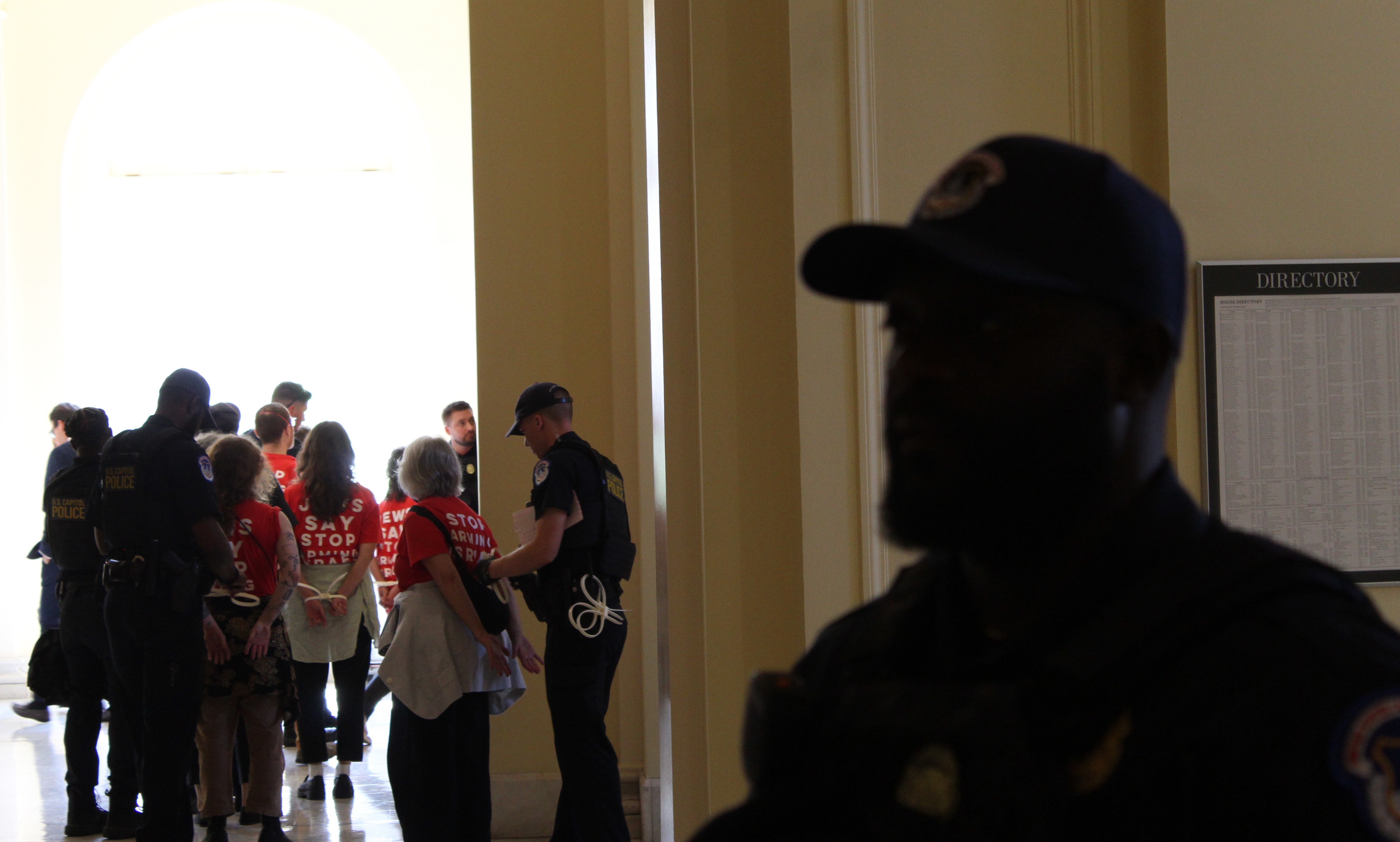 Capitol Police arrest progressive Jewish activists demonstrating at the Cannon House Building on Capitol Hill in Washington, DC, on July 23
