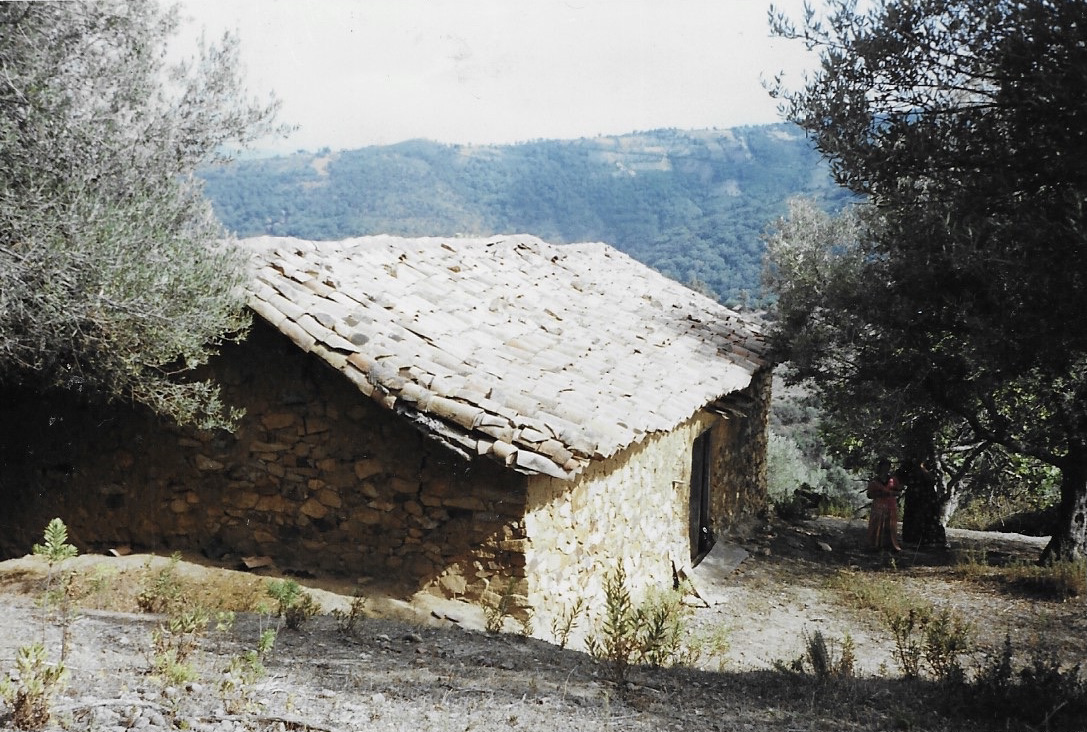 My great-aunt, the Algerian revolutionary