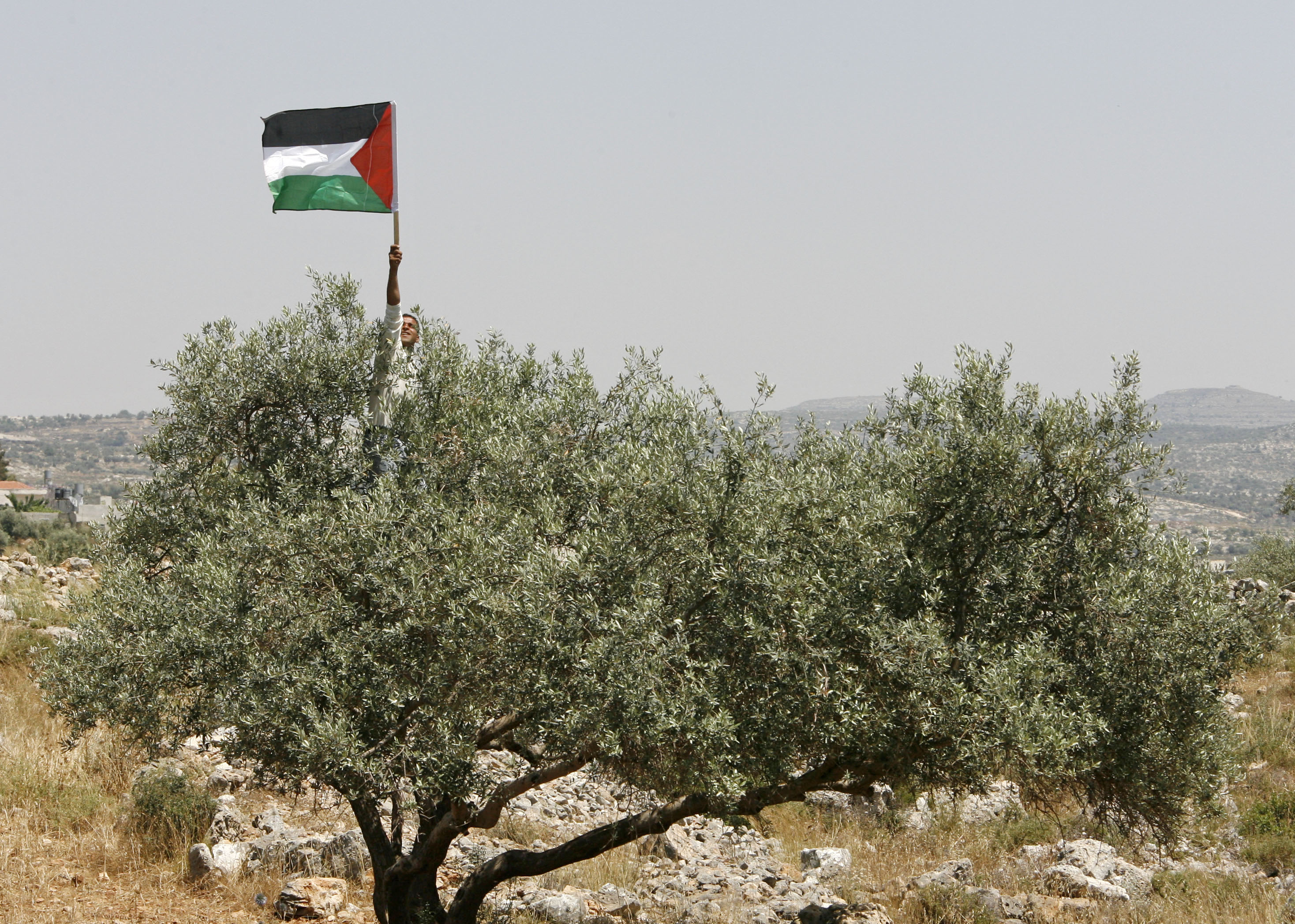 Why Palestinians won’t leave their land