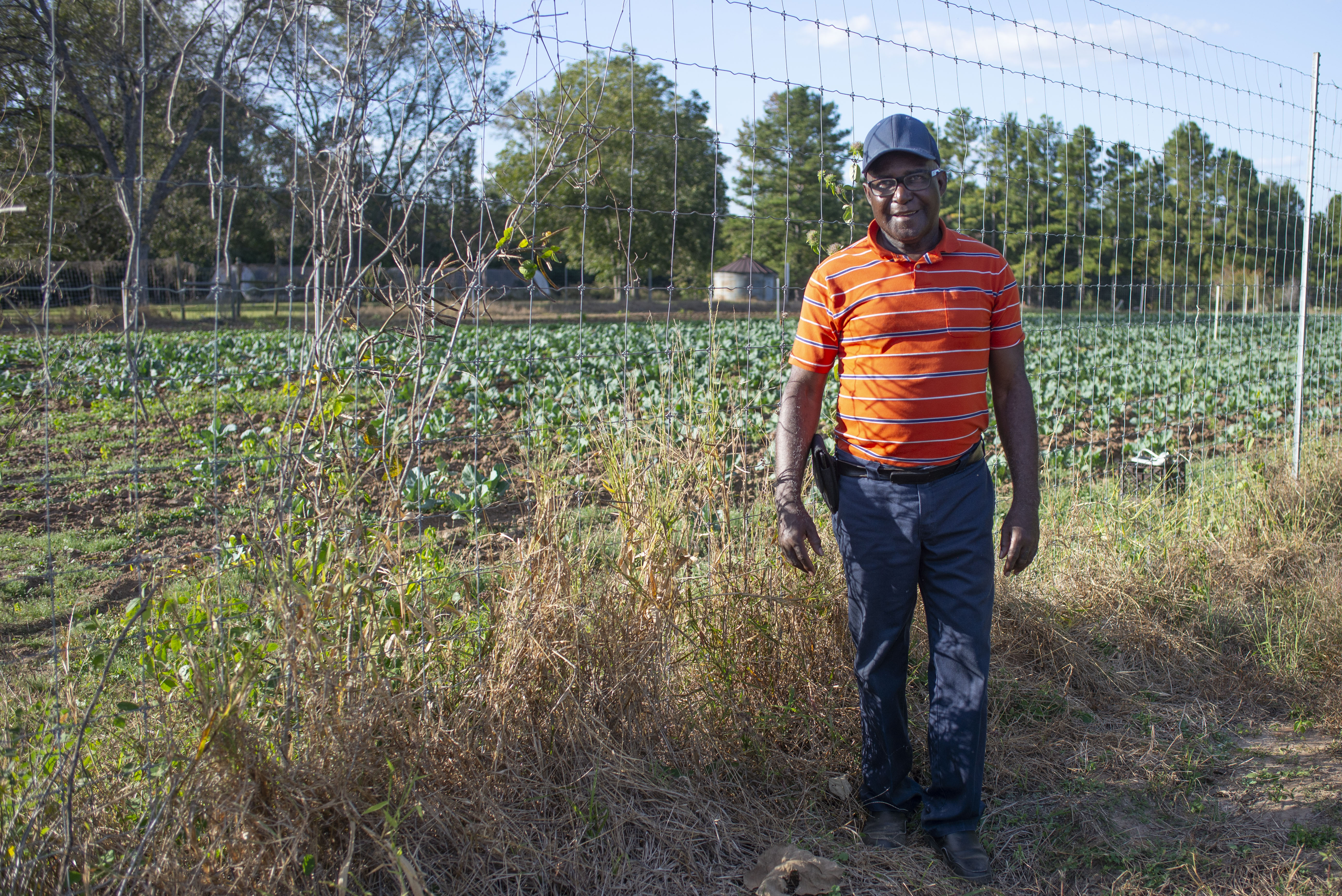 Curtis Plant stands in front of his fields
