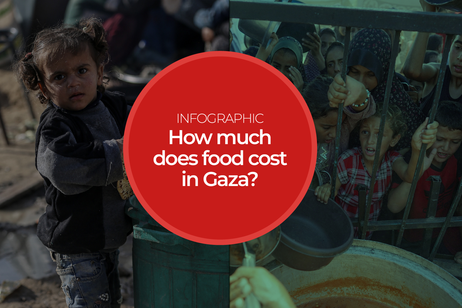 Interactive_Gaza_foodprices_outside image
