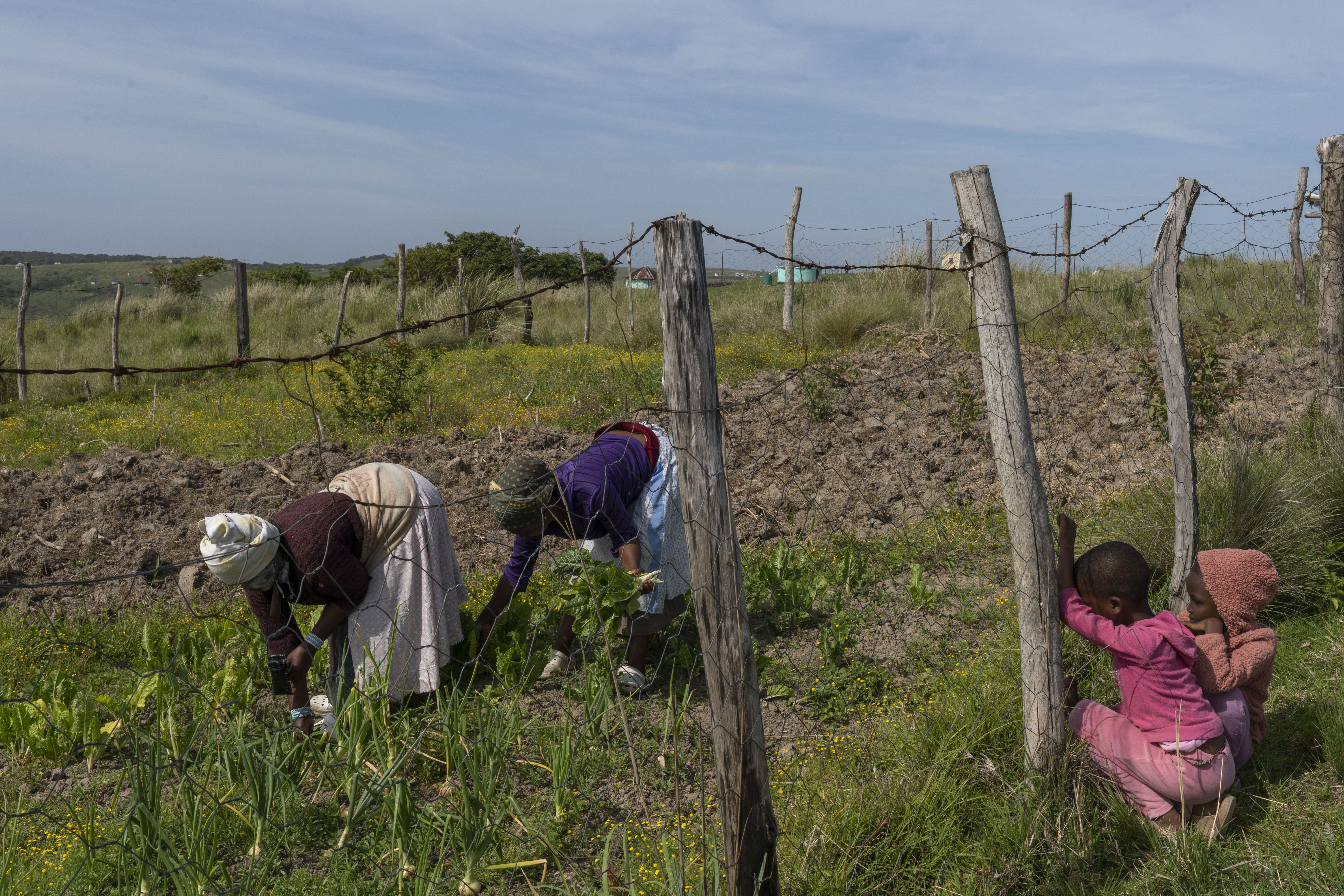 Wild Coast, South Africa