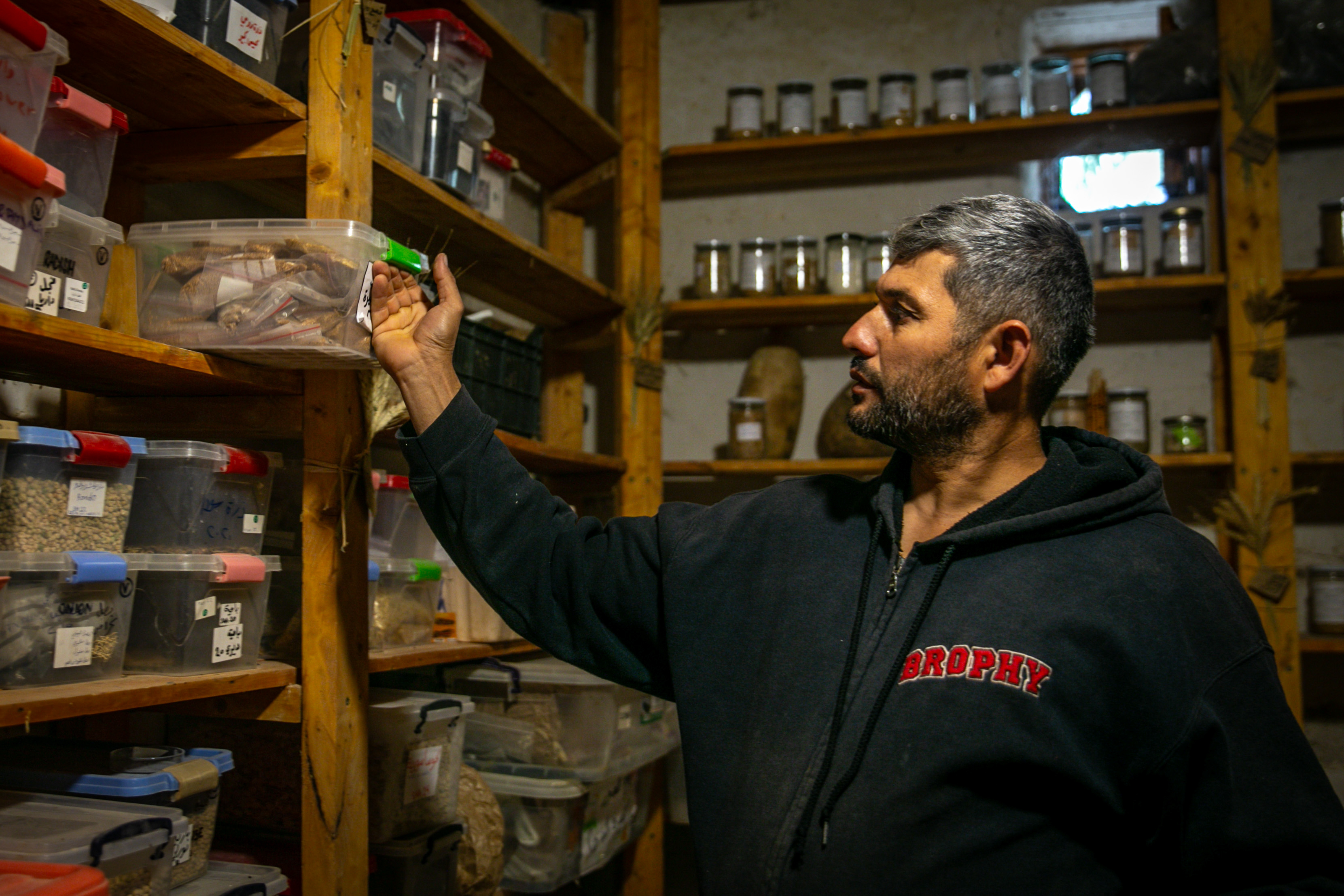 Youssef inspects the collective’s seed library at its farm in Saadnayel