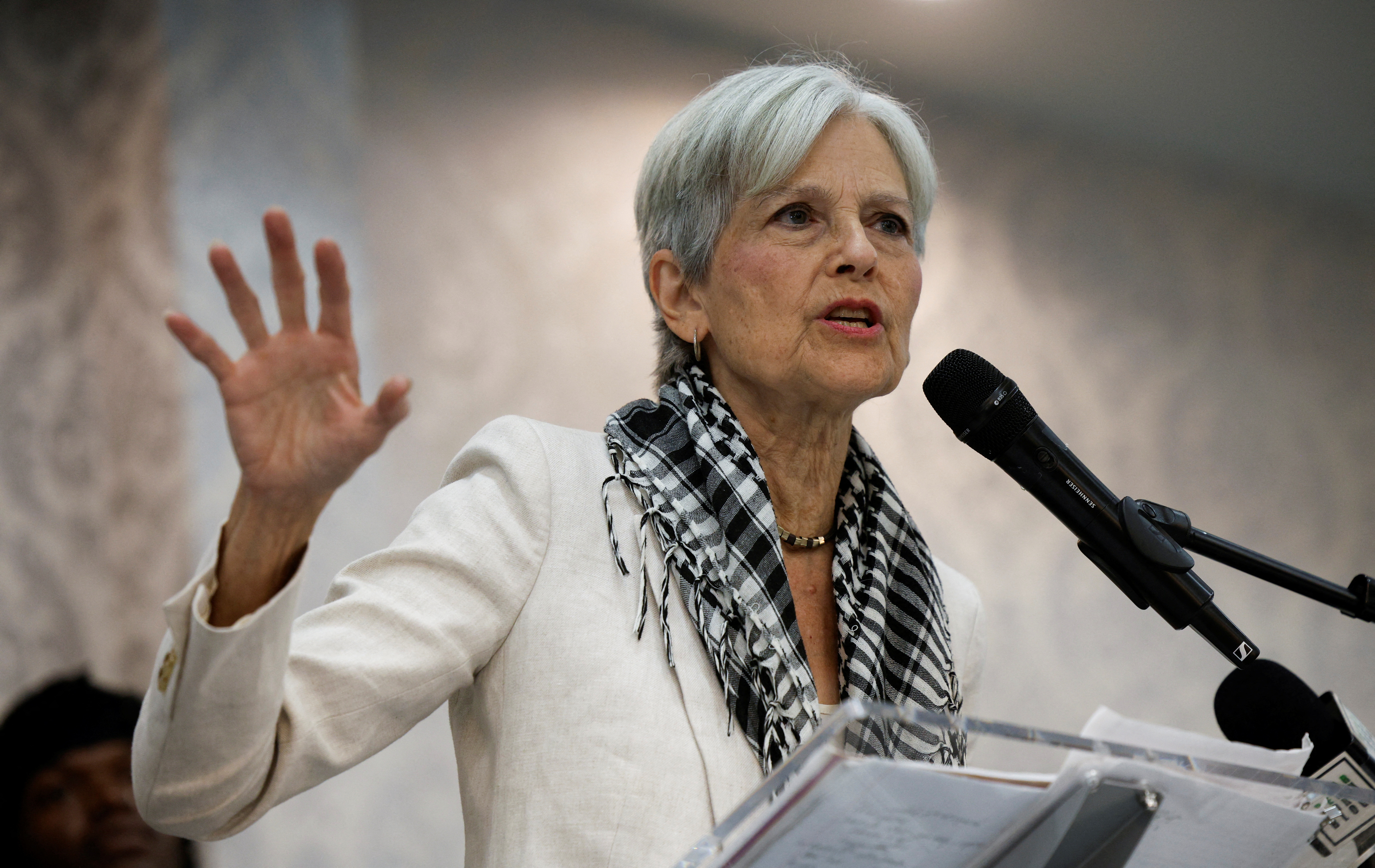 Green Party presidential candidate Jill Stein speaks during a rally in Dearborn, Michigan, on October 6