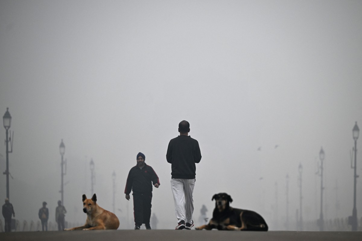 Shrouded in smog, Delhi pollution reading is the highest this year