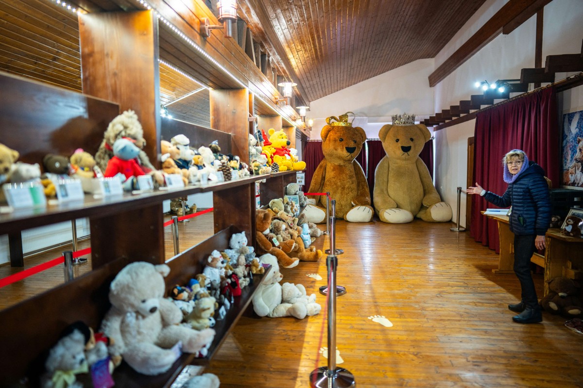 Romania sanctuary seeks to save bears as hunting resumes