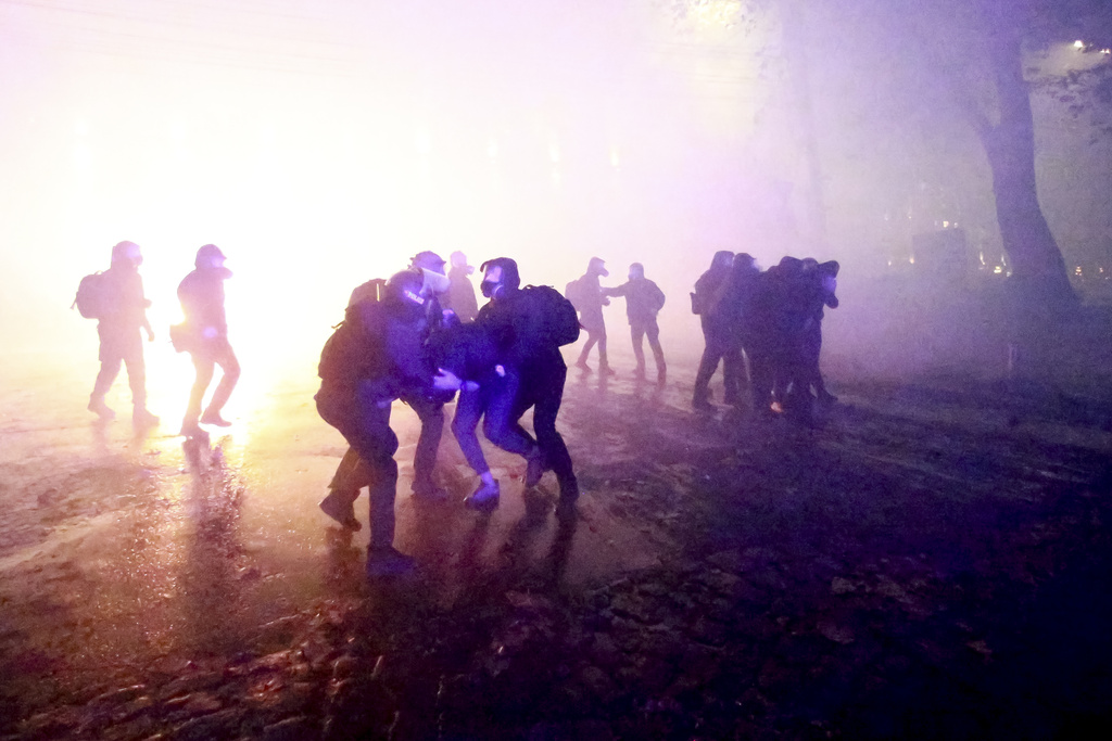 Georgian police detain protesters