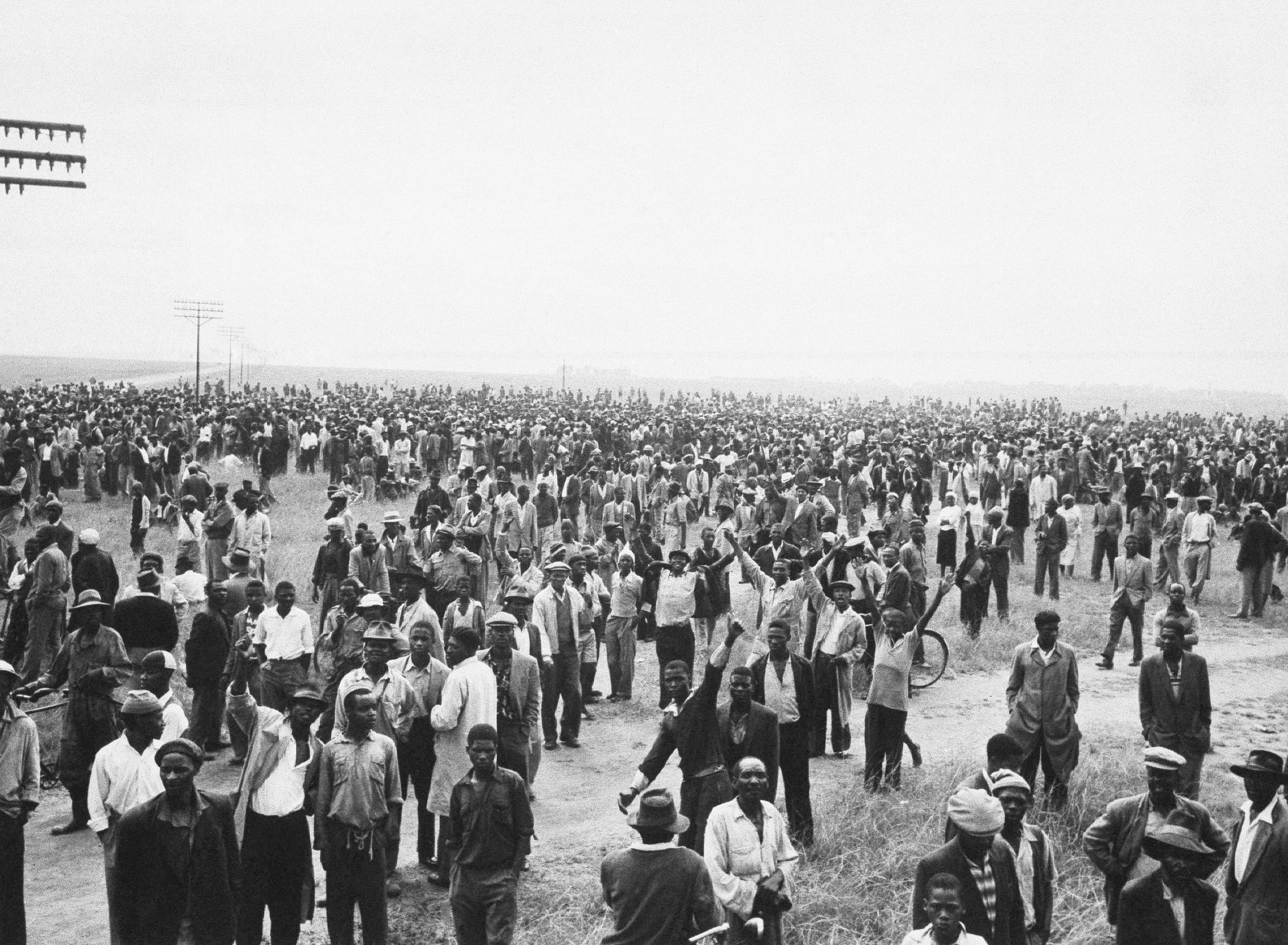 A crowd gathers.