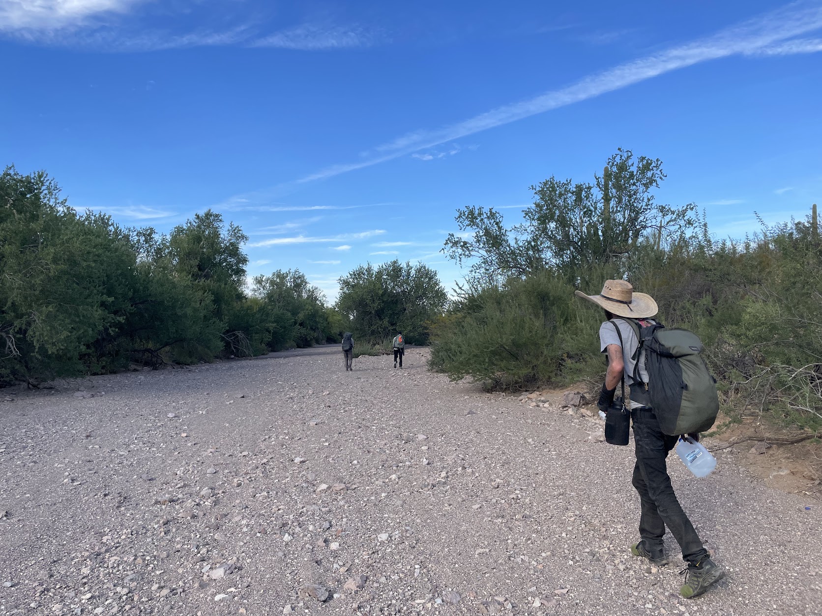 Volunteers walk a path through the Sonoran Desert.