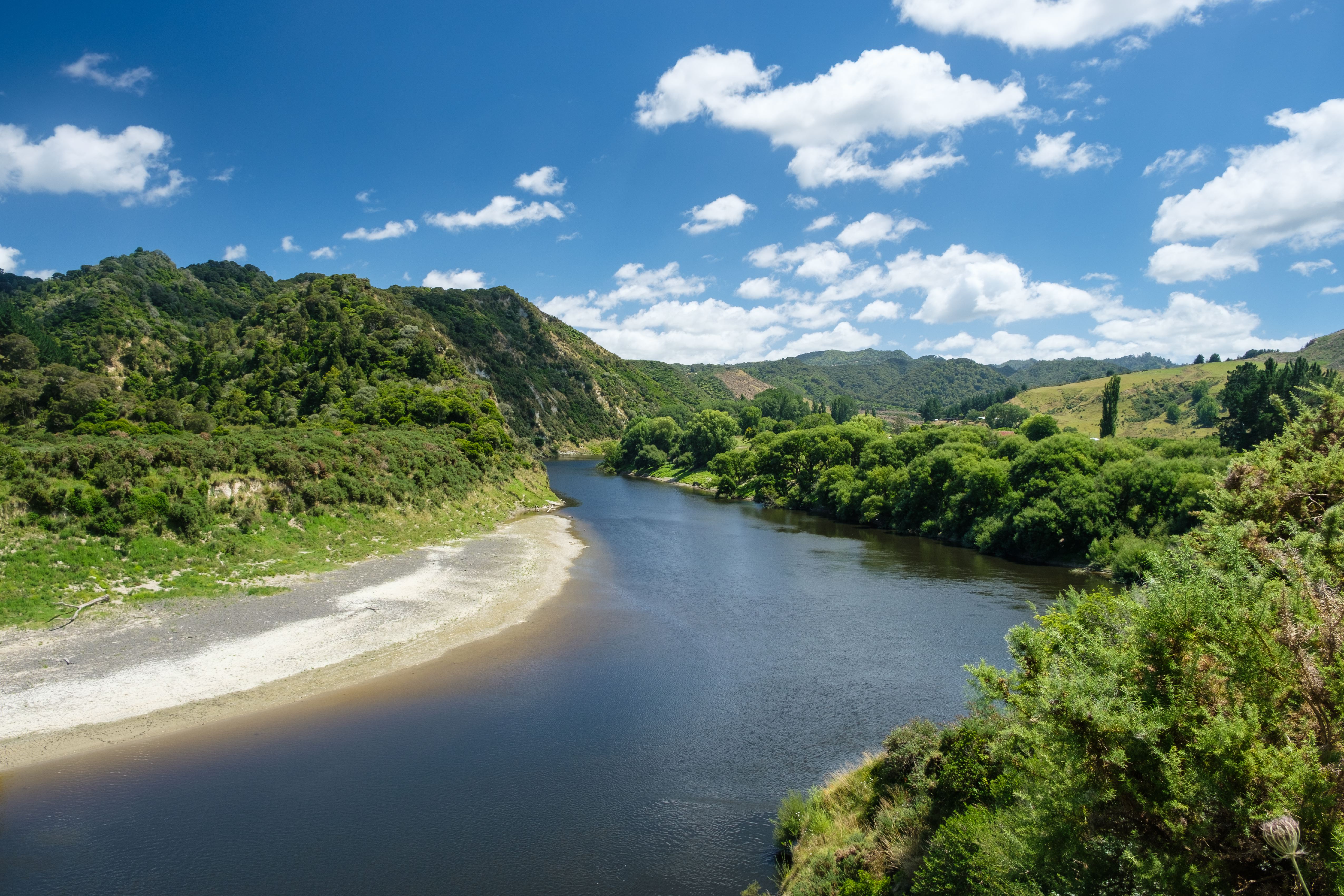 The Whanganui River near the entrance to Whanganui National Park, near Whanganui, North Island, New Zealand