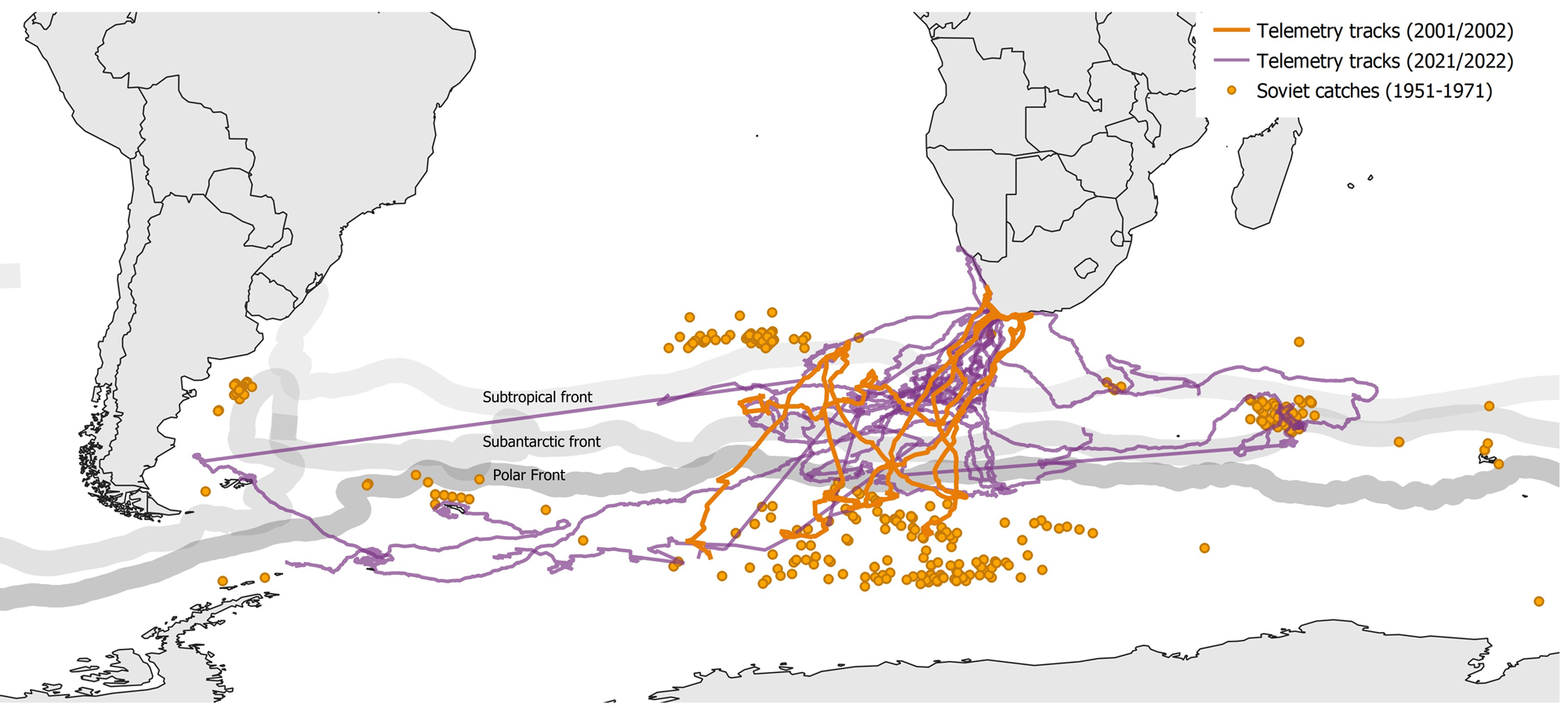 A map shows the changing movements of southern right whales, based on telemetry tracking [Courtesy University of Pretoria’s Mammal Research Institute]
