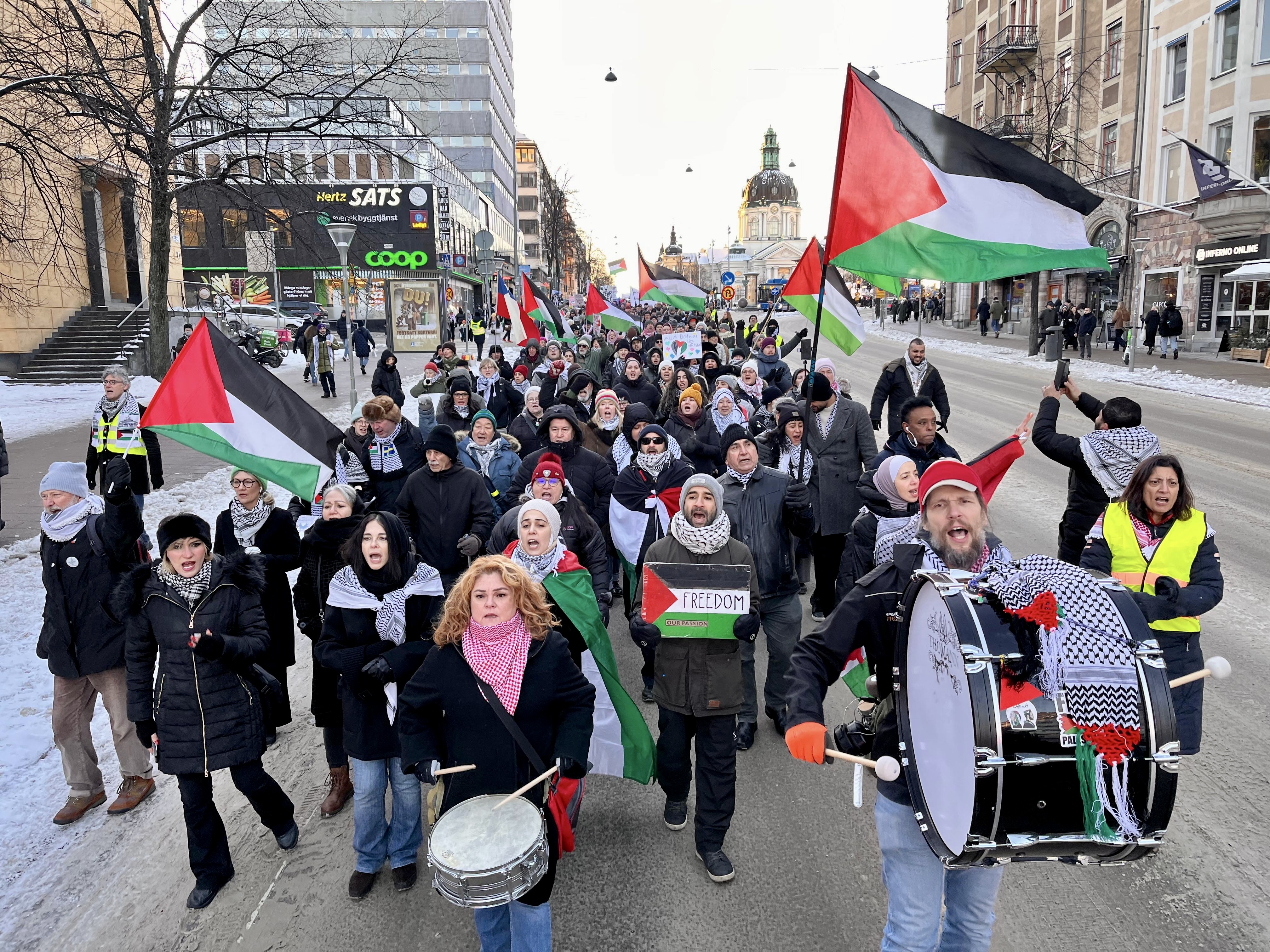 Demonstration in support of Palestine in Sweden