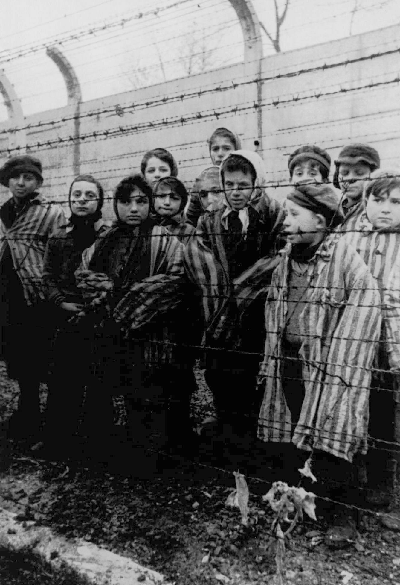 A picture taken just after liberation by the Soviet army in January 1945 shows a group of children wearing concentration camp uniforms behind barbed wire fencing in the Auschwitz concentration camp