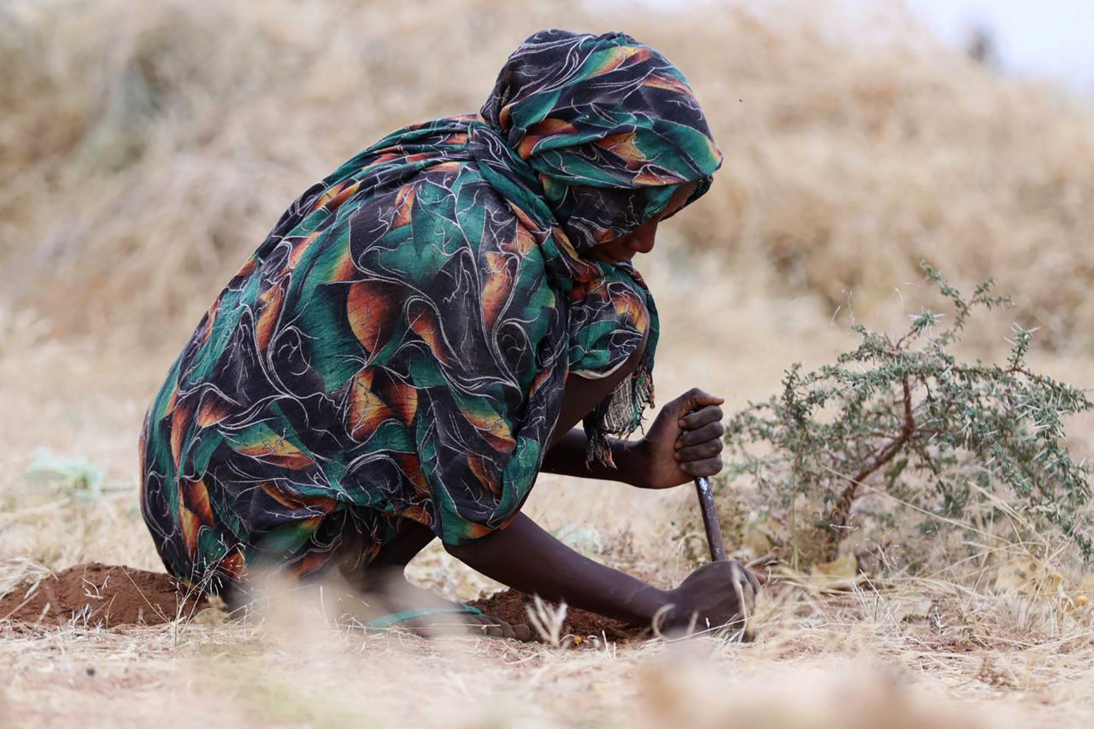 Displaced families in Sudan face violence, hunger, and death at every turn