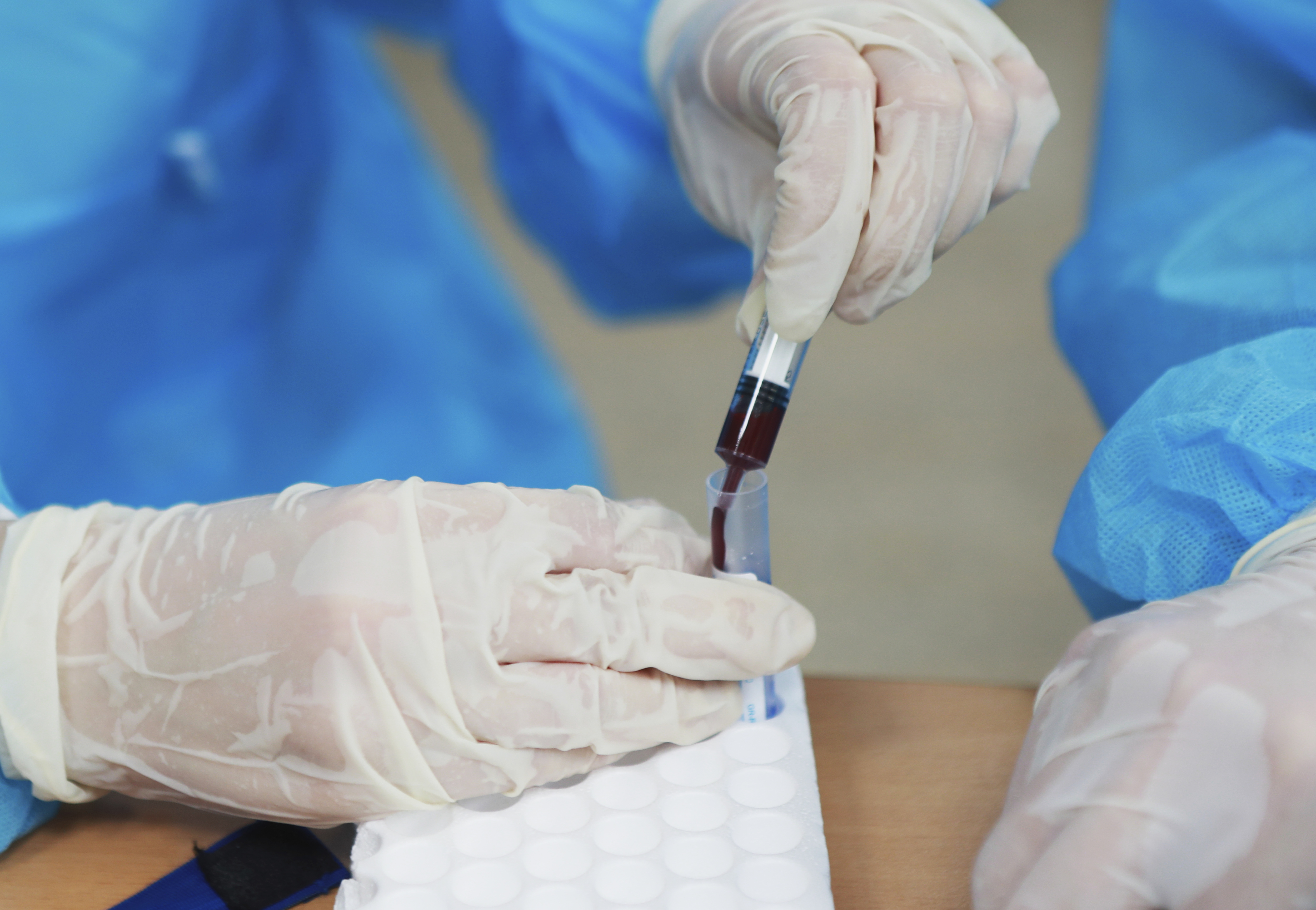A health worker transfers drawn blood into a tube for a COVID-19 test.