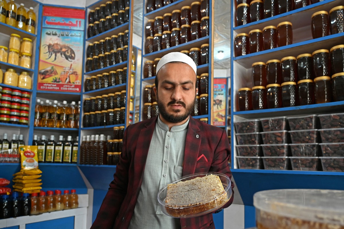 Pakistan beekeepers widen pursuit of flowers