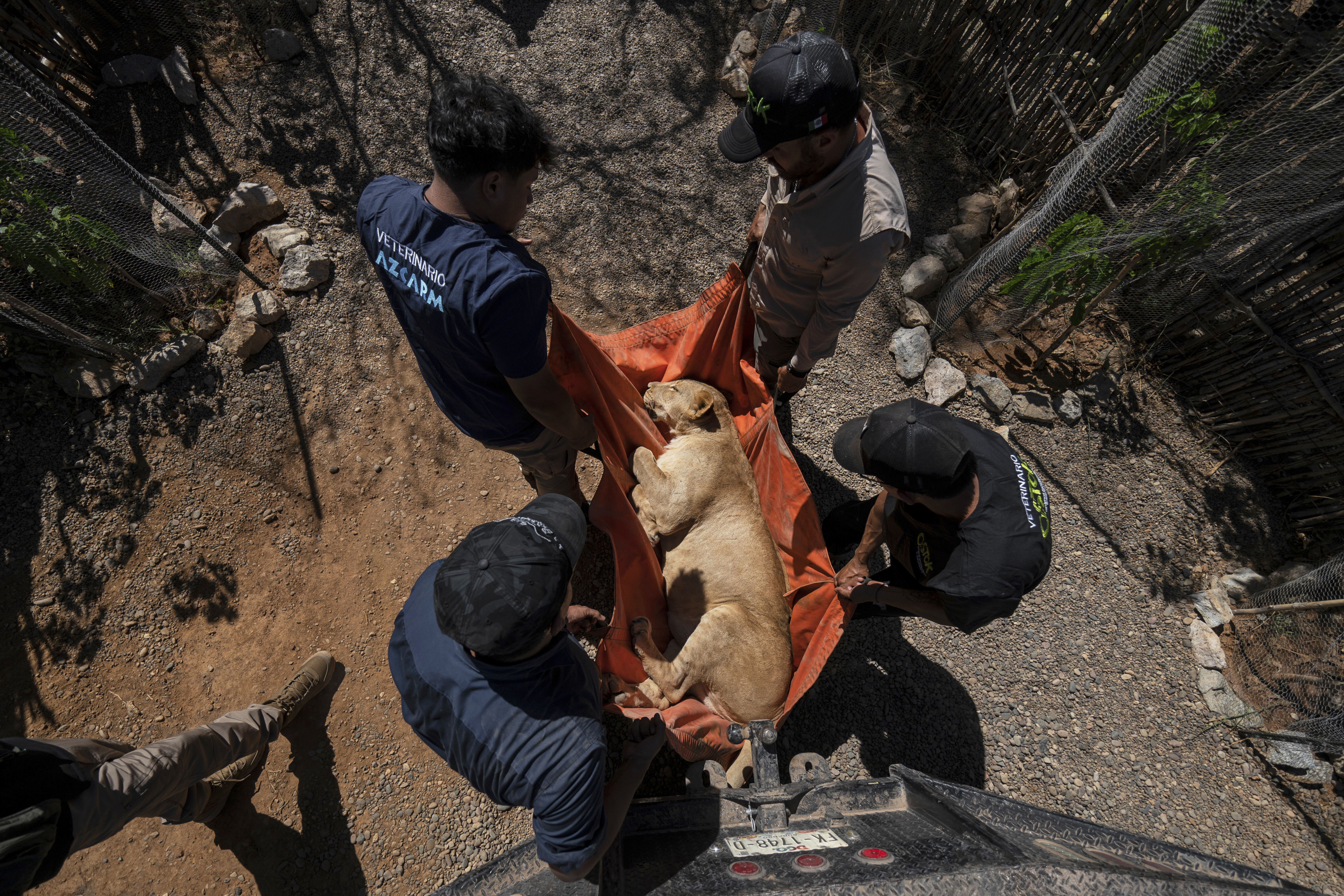 Mexico Violence Animals Refuge
