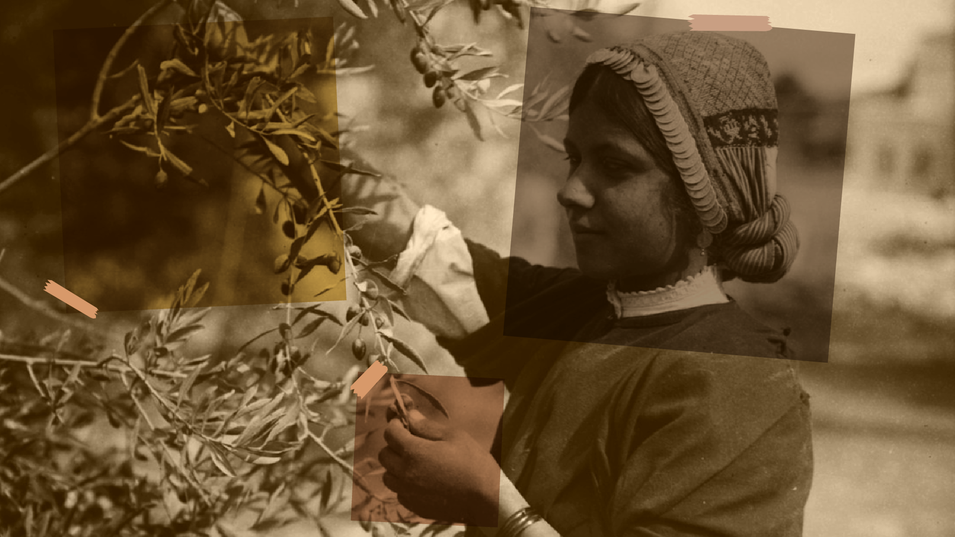 INTERACTIVE-NAKBA-2025-People-1747215771