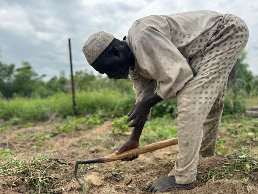 Modu Muhammad, a farmer, works on a piece of farm in Konduga, outside Maiduguri [Sani Adamu/Al Jazeera]