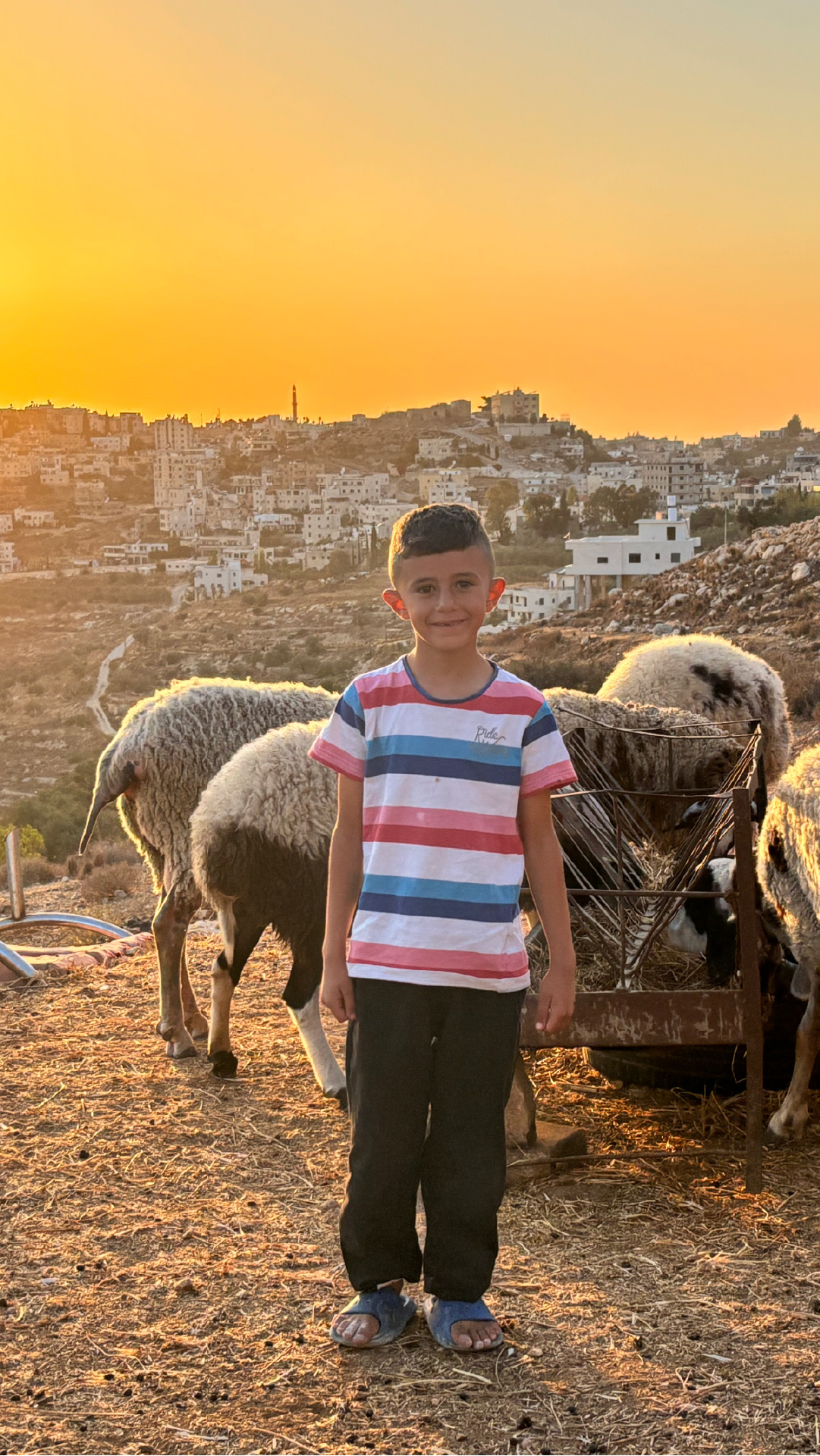 INTERACTIVE - Mobile CHild in the Uthman family feeding sheep-1764685567