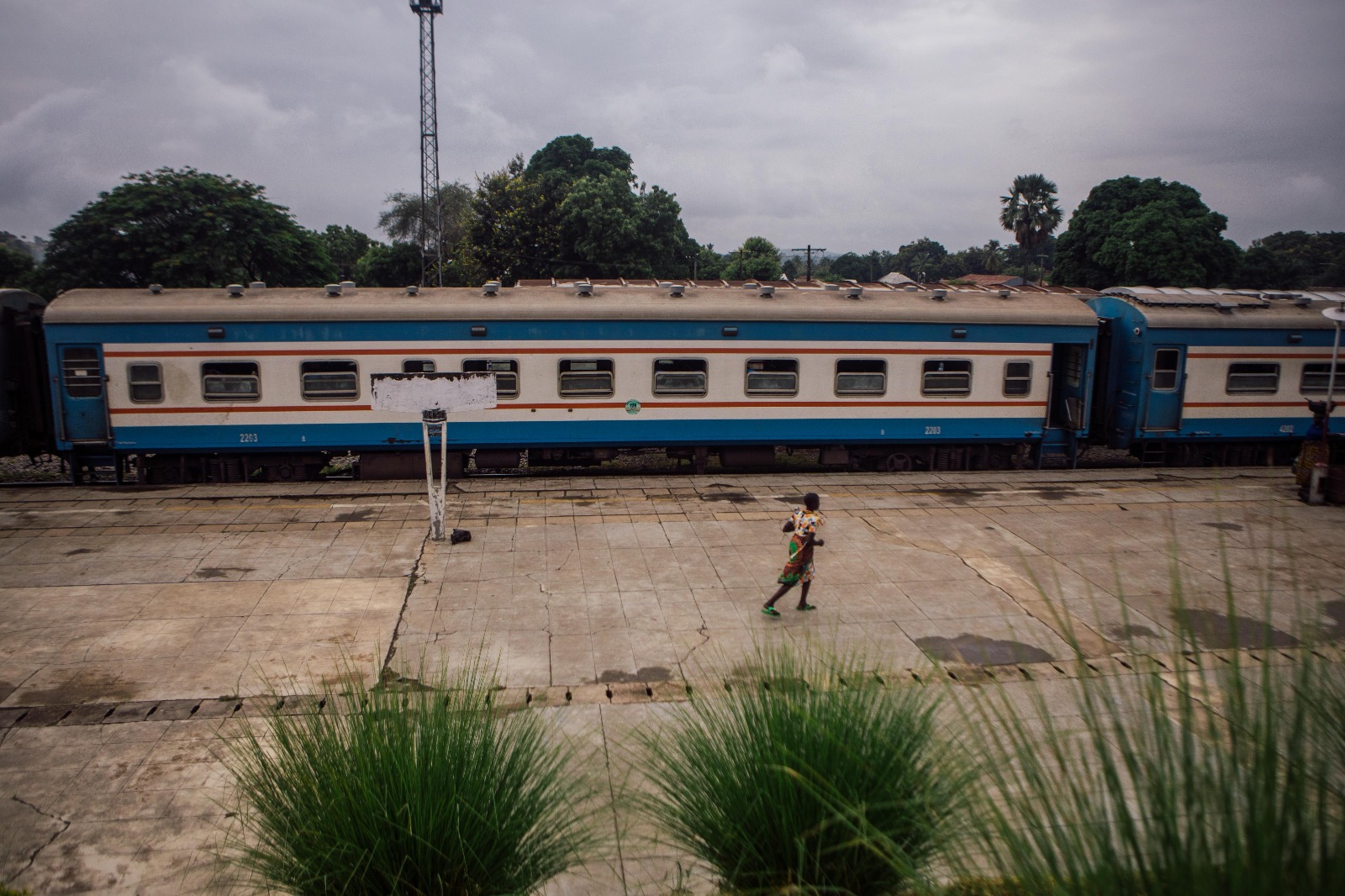 Tazara