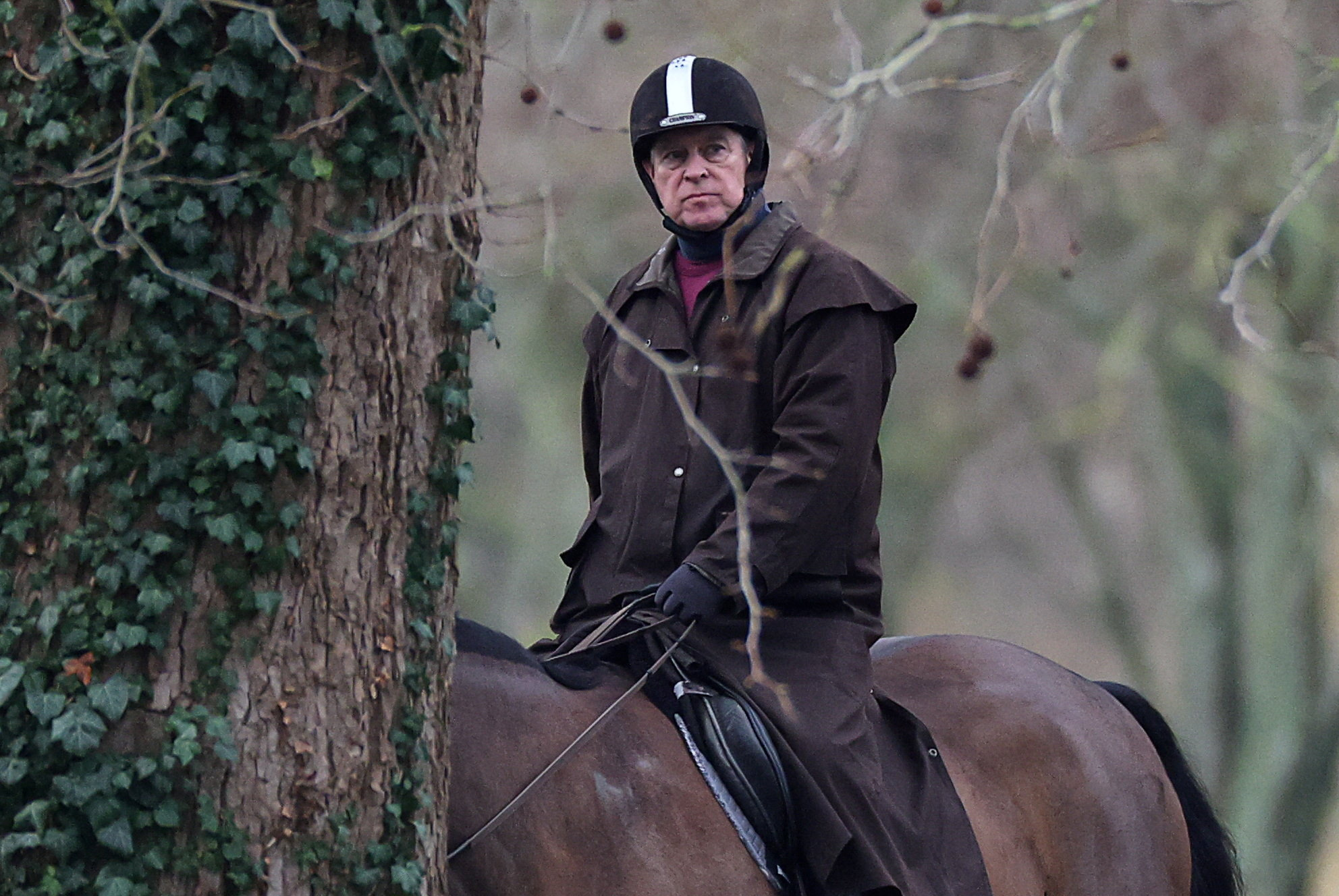 Andrew Mountbatten-Windsor rides a horse in Windsor Great Park
