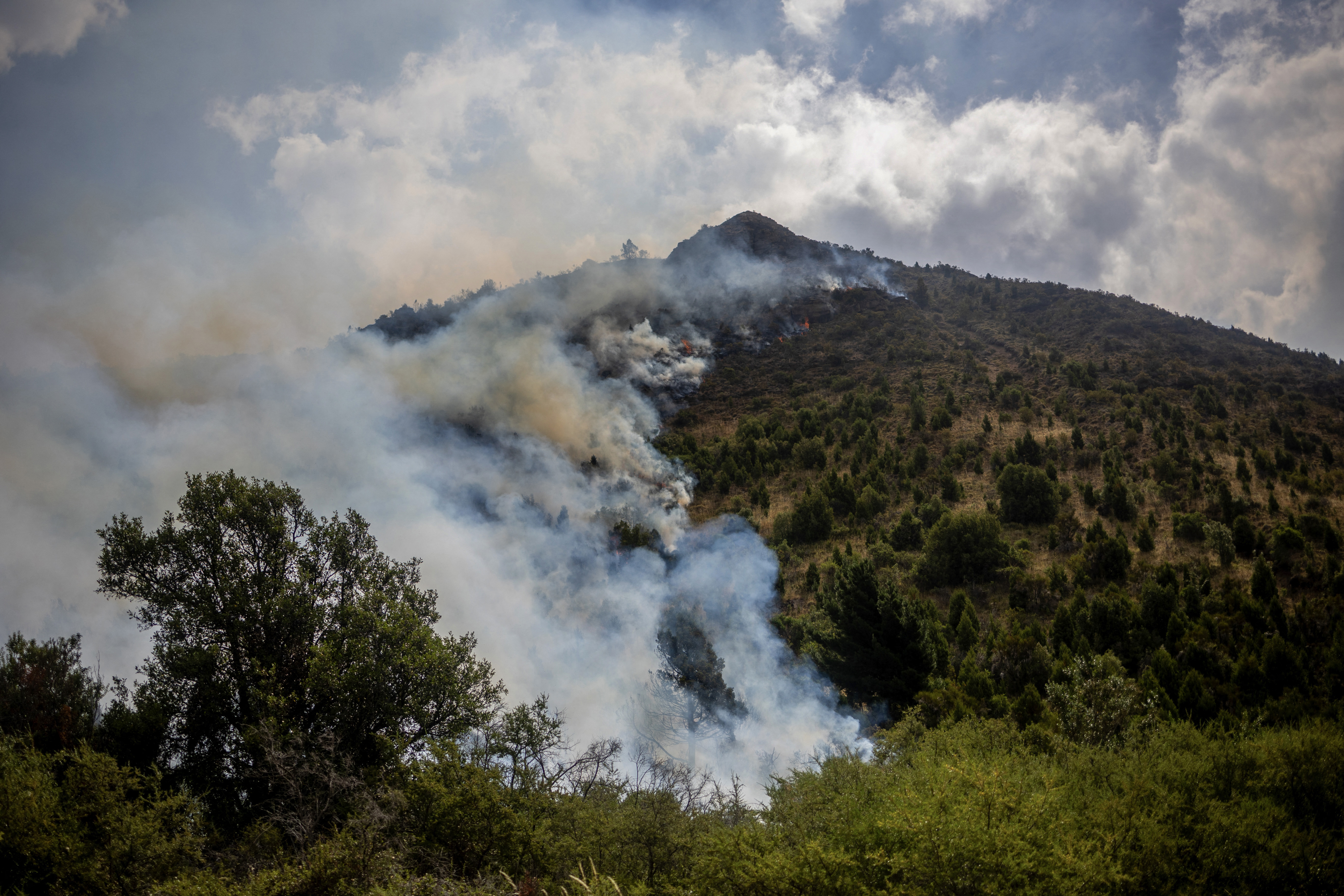 Wildfires devastate Argentina's Patagonia, threaten ancient forests