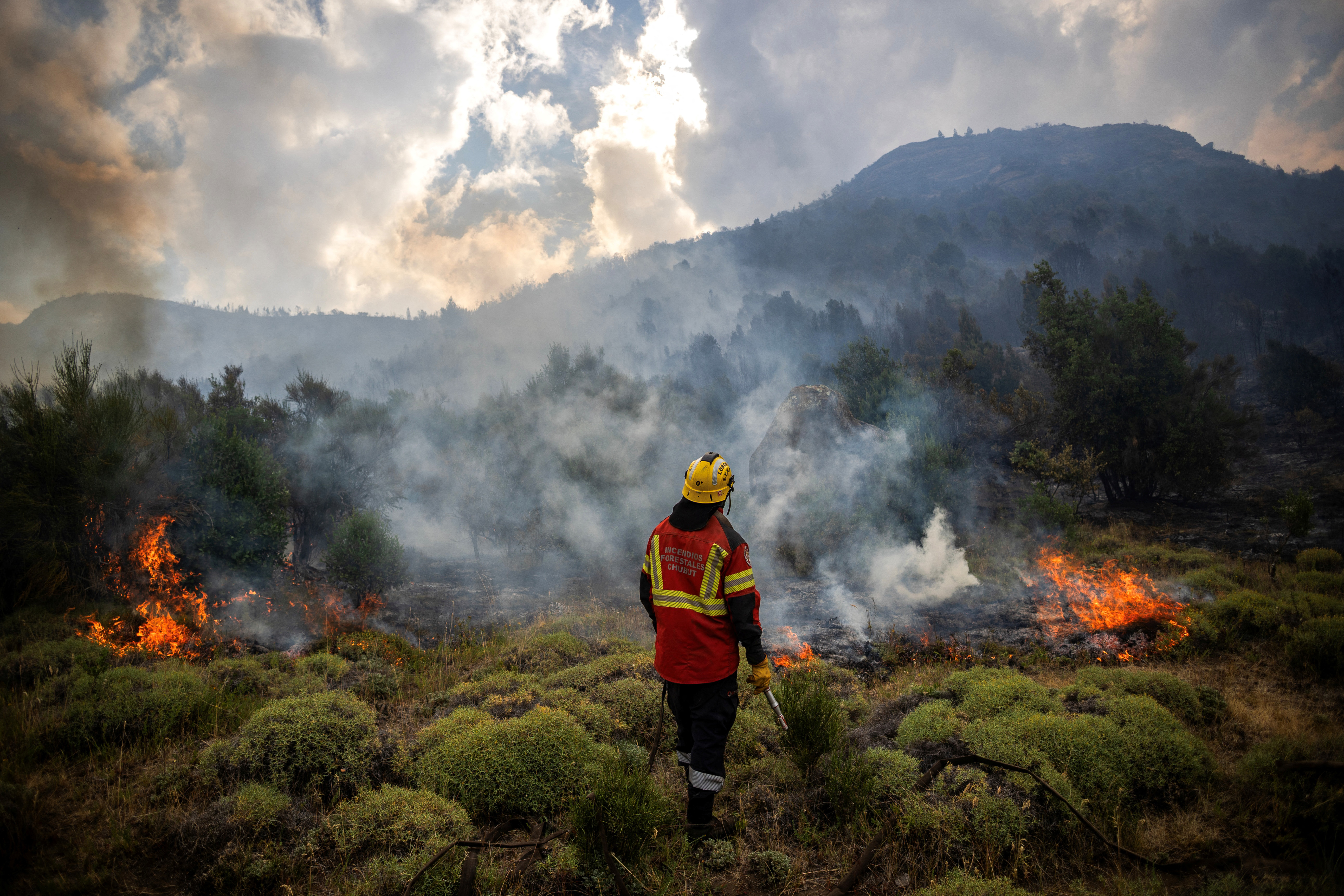 Wildfires devastate Argentina's Patagonia, threaten ancient forests