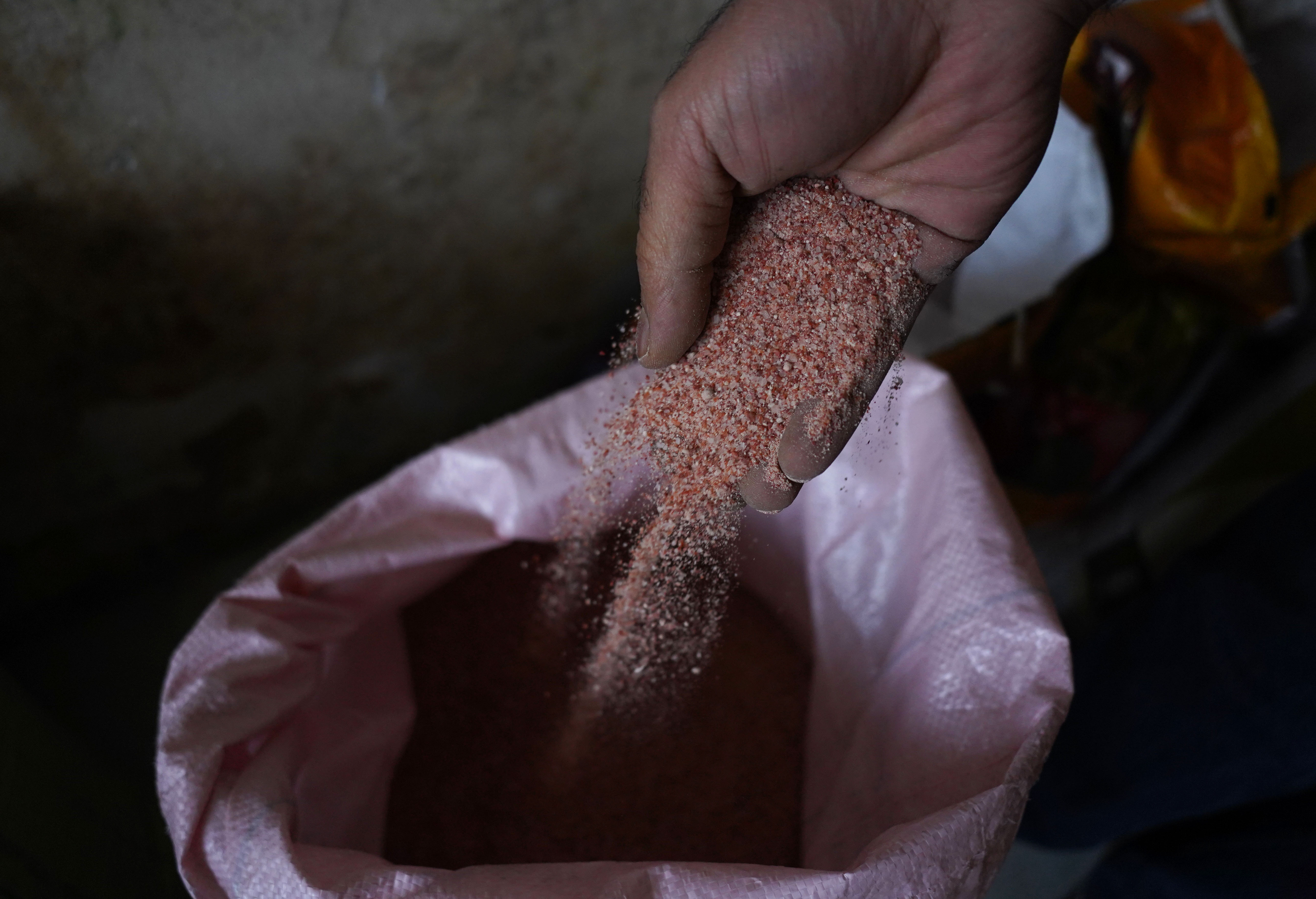 A worker handles granular fertiliser at a storage facility in Punjab, northern India, March 2026