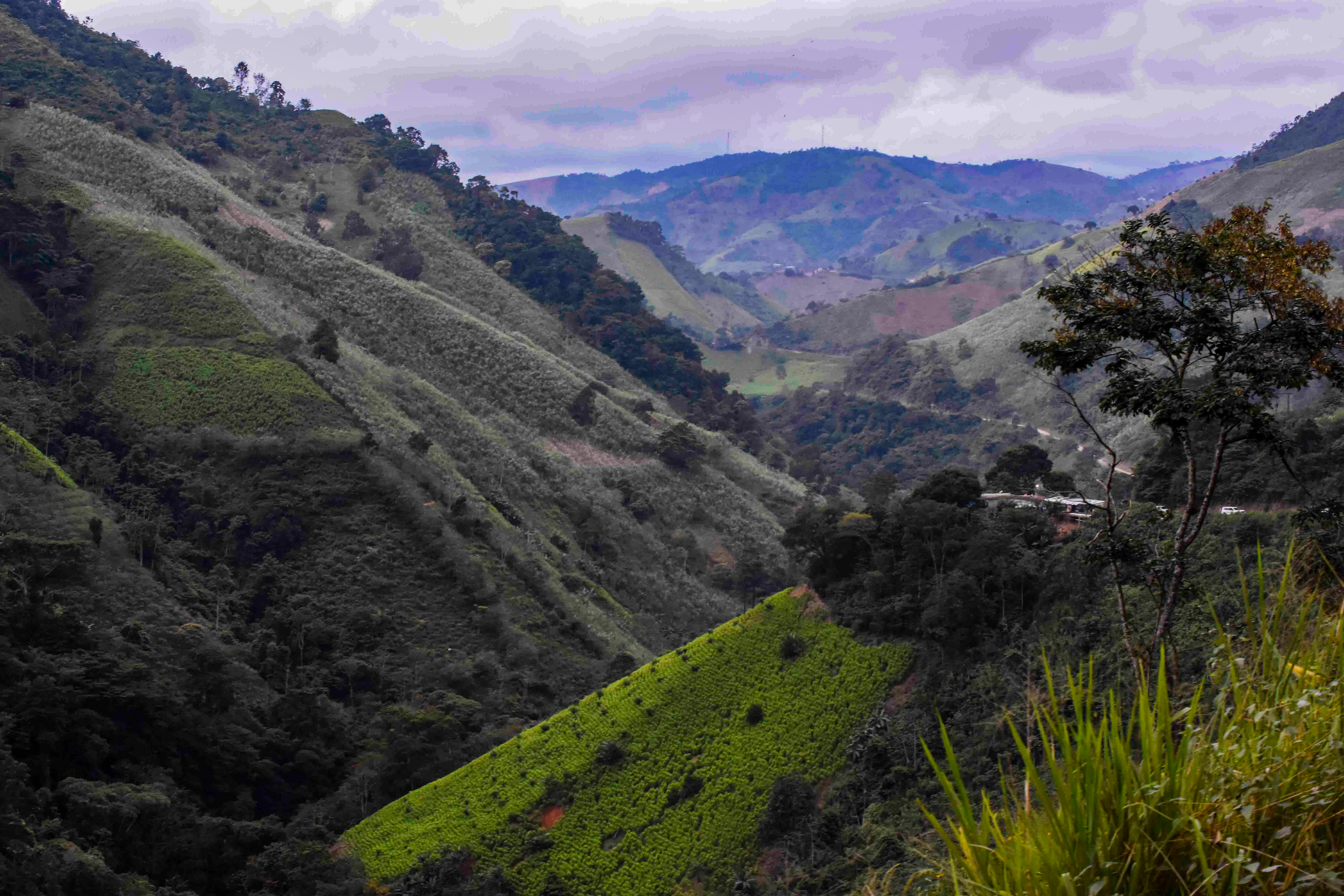 the green mountain landscape of Colombia's Catatumbo region