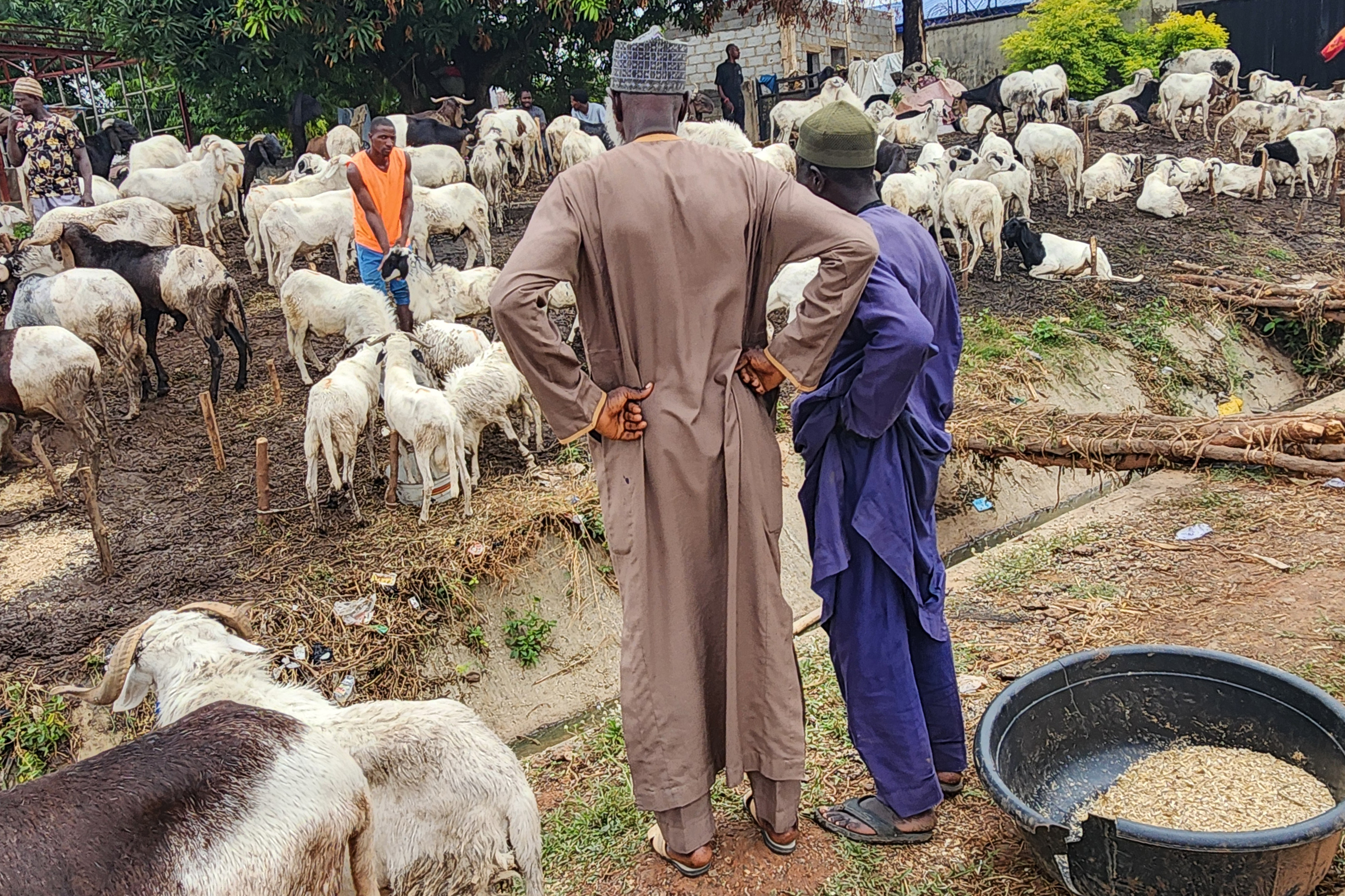 Men at the flock of ram at the Kubwa Sallah market by Federal Housing junction beside Zenith House along Dutse Road, Abuja